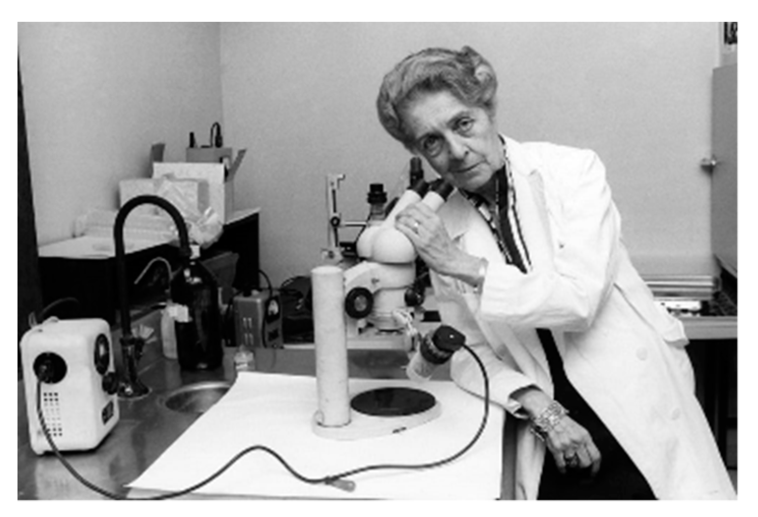 Pharmaceutics 11 00048 g002 550