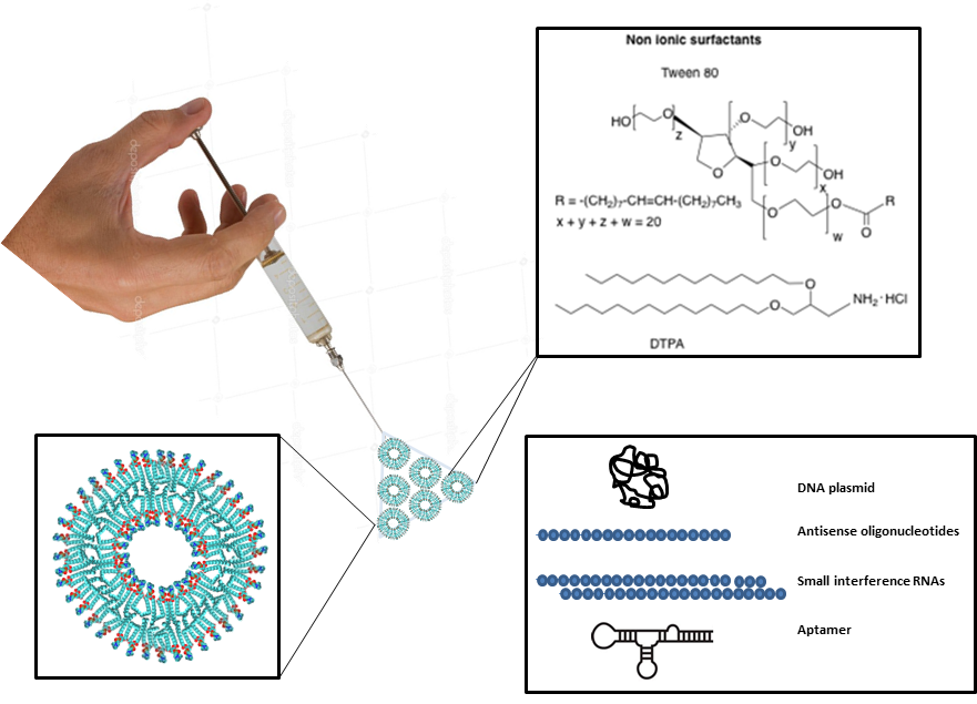 Essay about niosomal 08 image