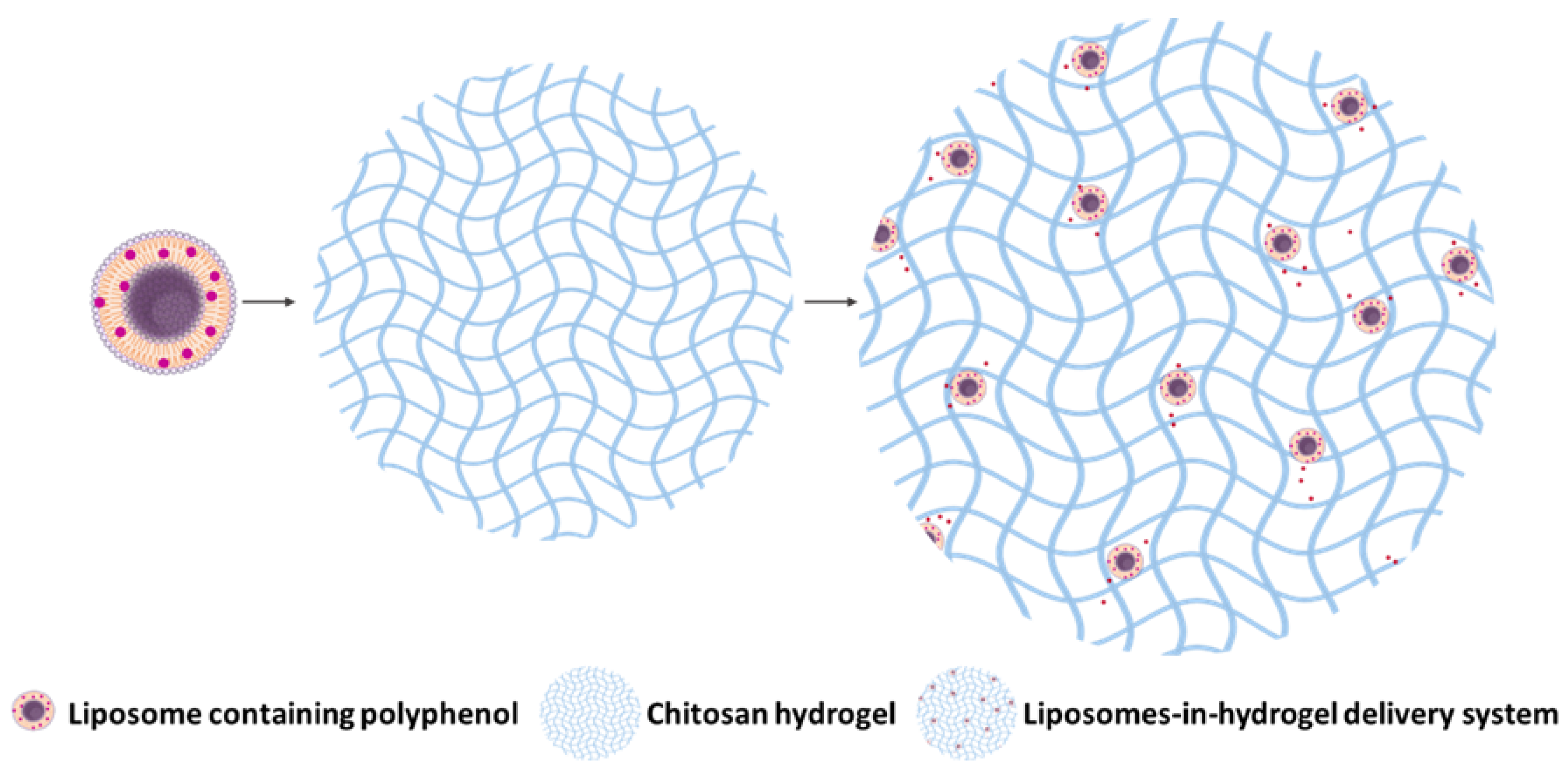 Pharmaceutics 11 00053 g001