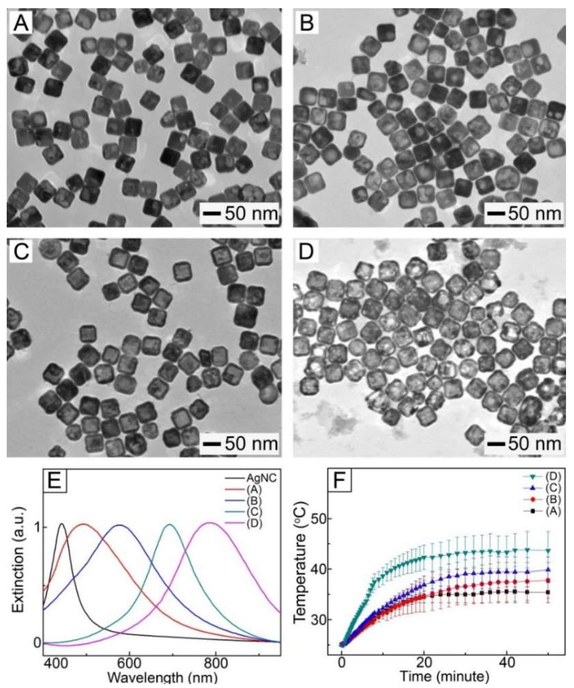Pharmaceutics 11 00060 g001 550