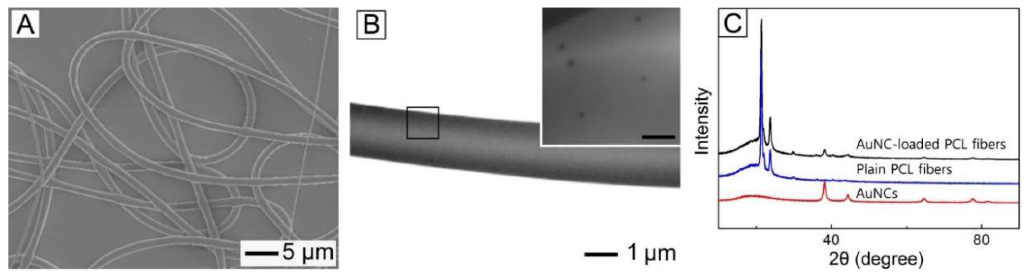 Pharmaceutics 11 00060 g003 550