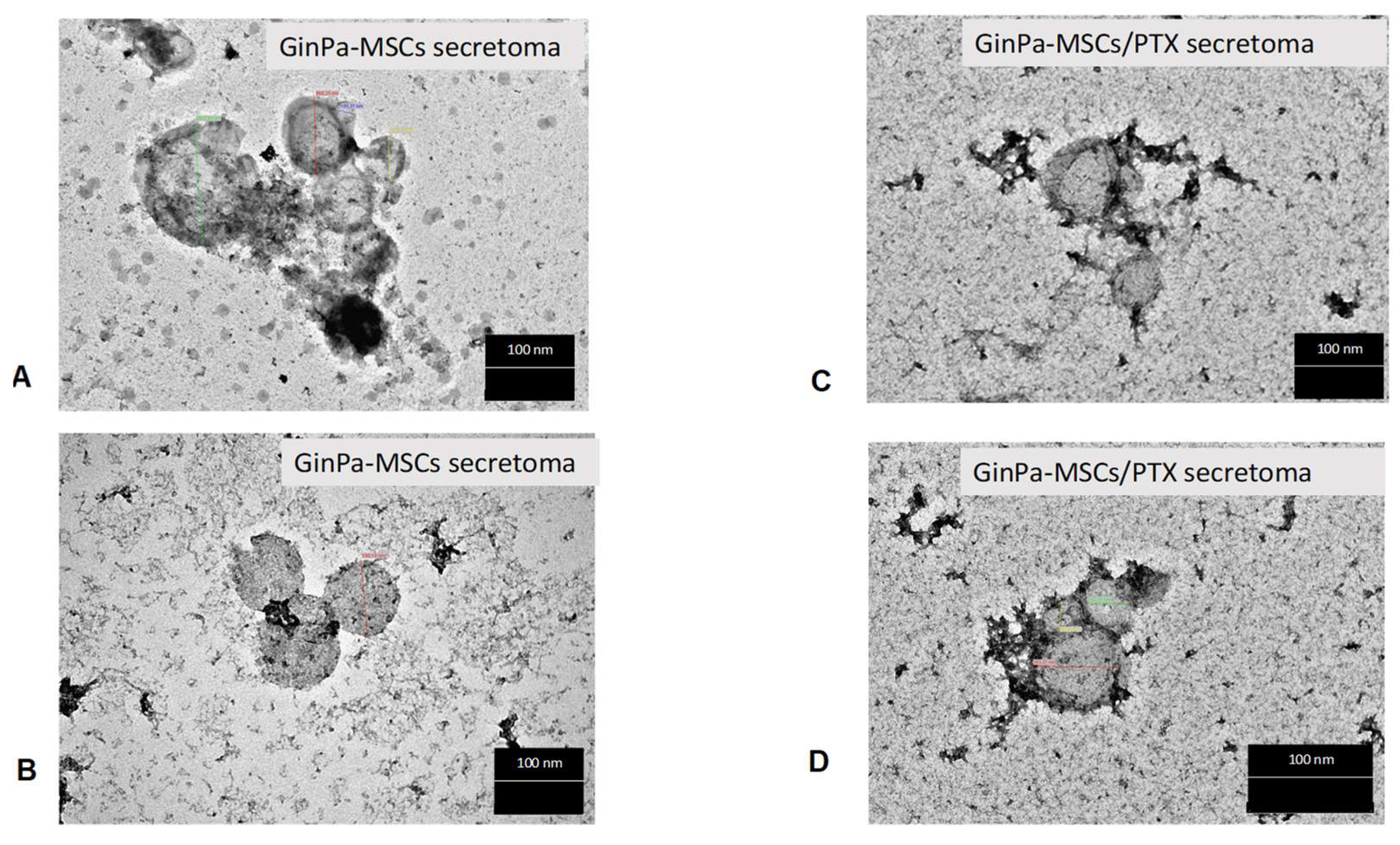 Pharmaceutics 11 00061 g004 Pharmaceutics 11 00061 g004