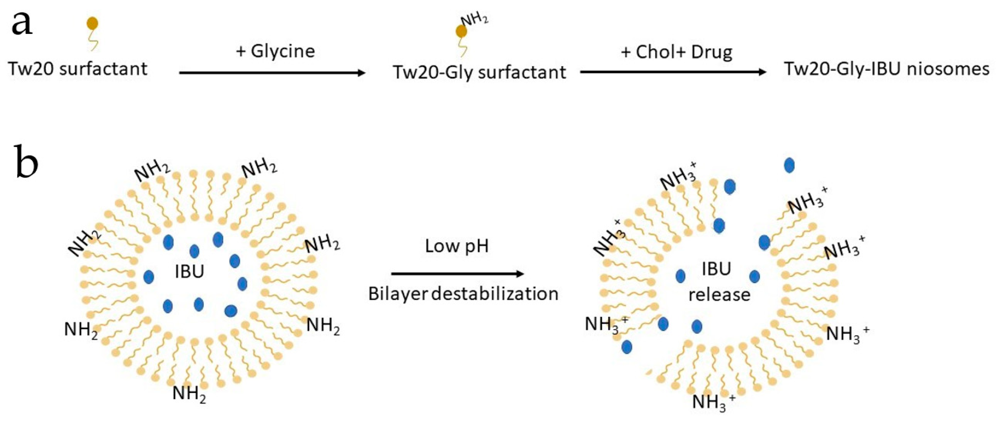 Pharmaceutics 11 00062 g001 Pharmaceutics 11 00062 g001