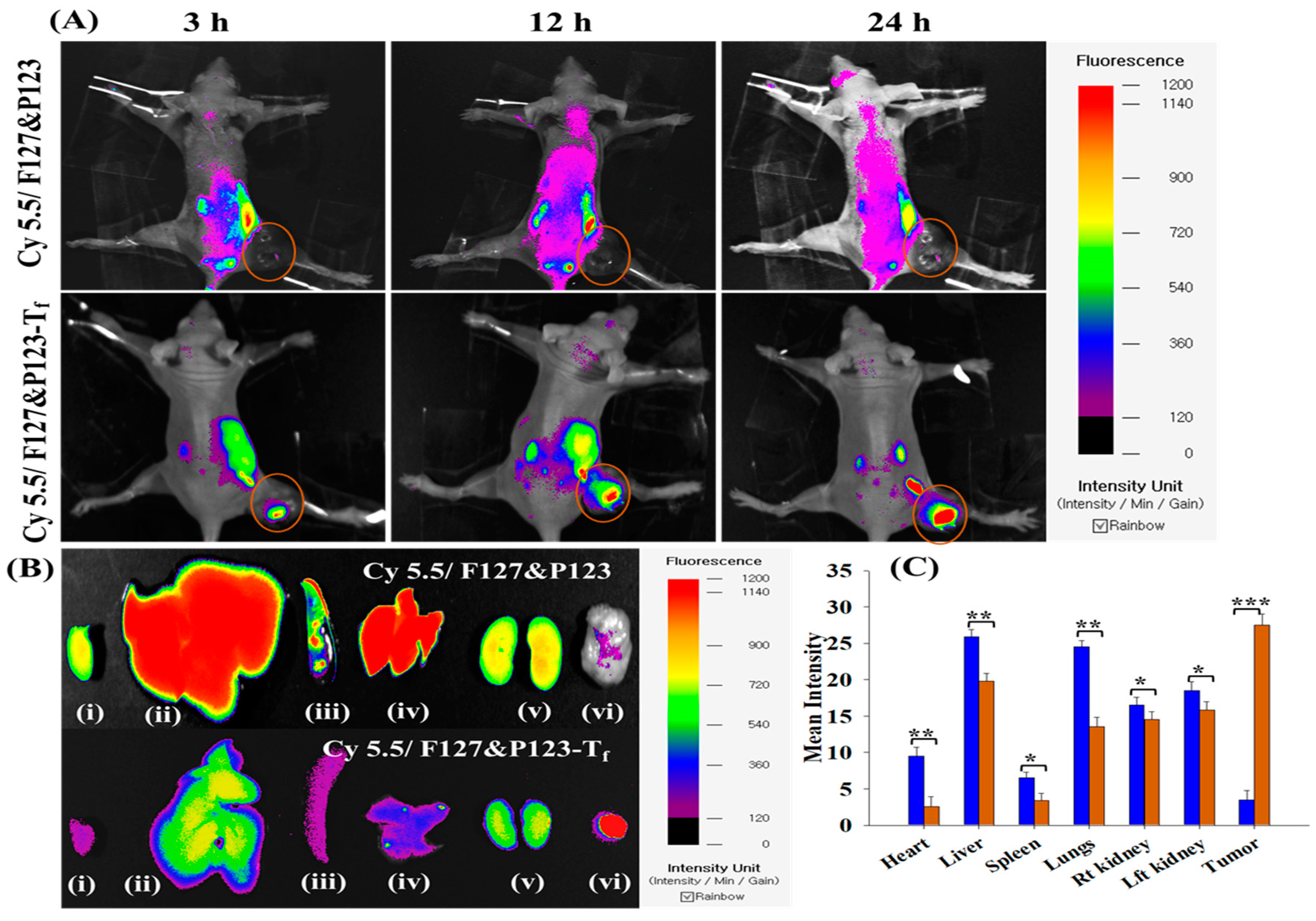 Pharmaceutics 11 00063 g006 550