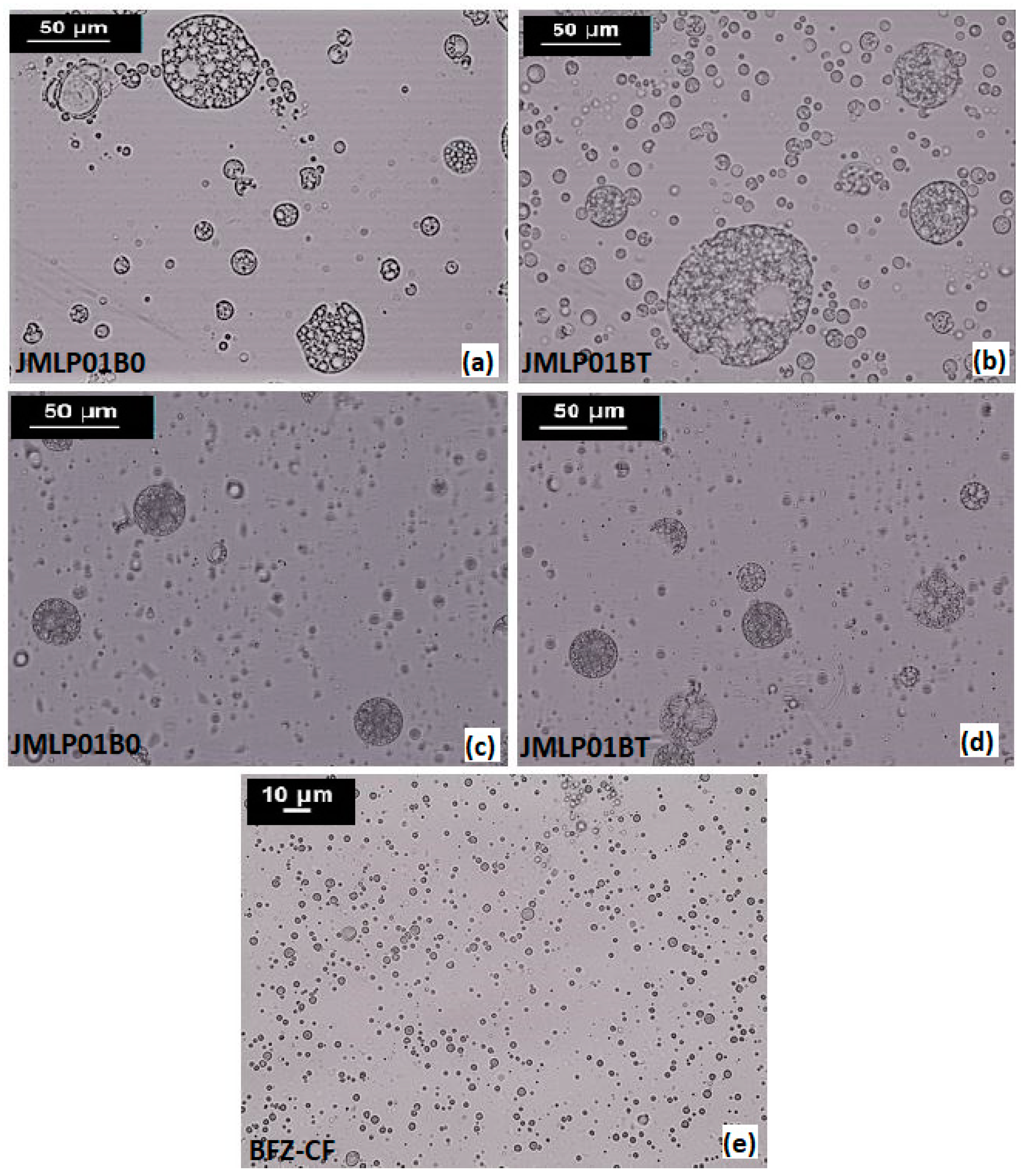 Pharmaceutics 11 00066 g001