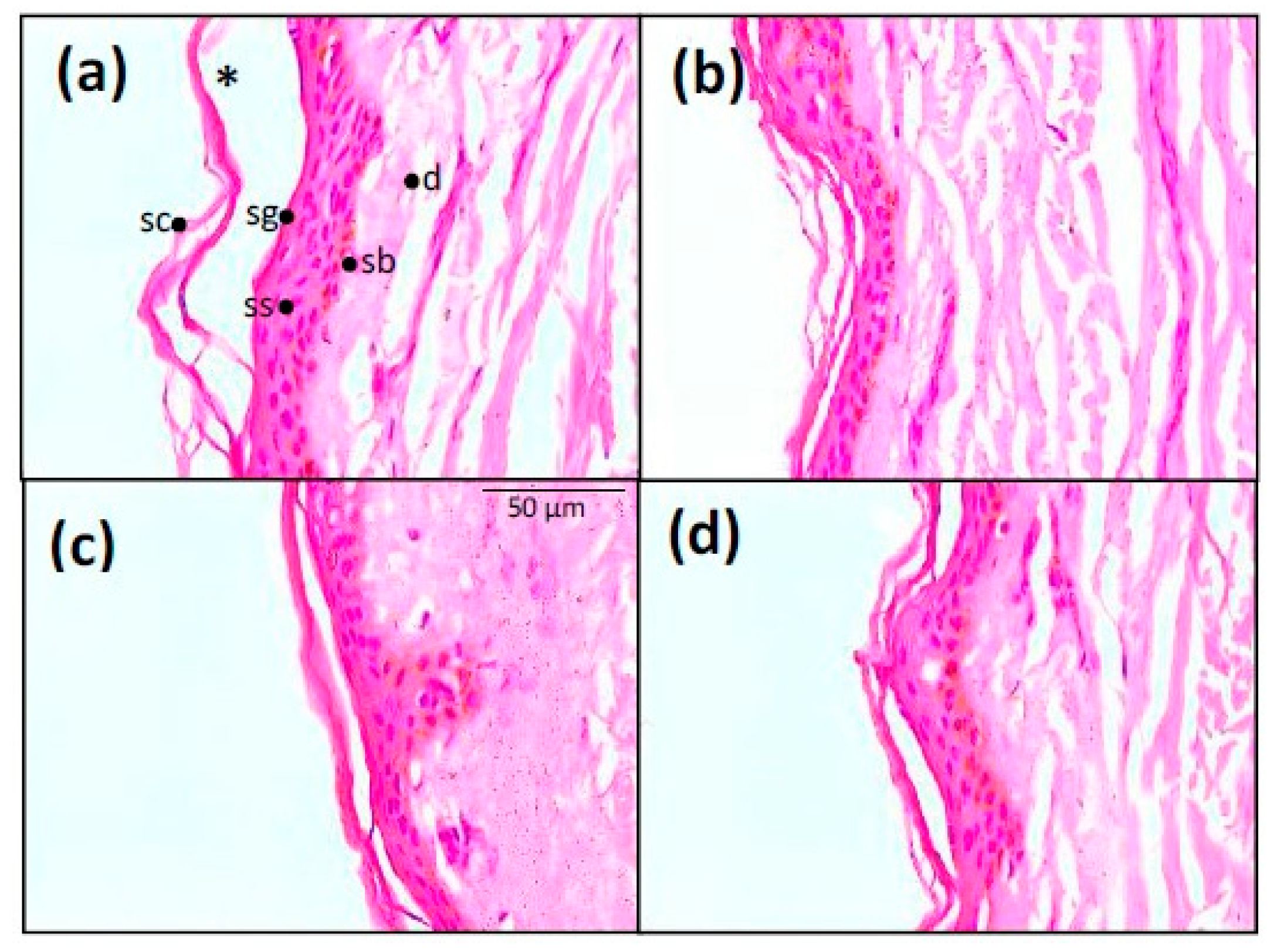 Pharmaceutics 11 00066 g009