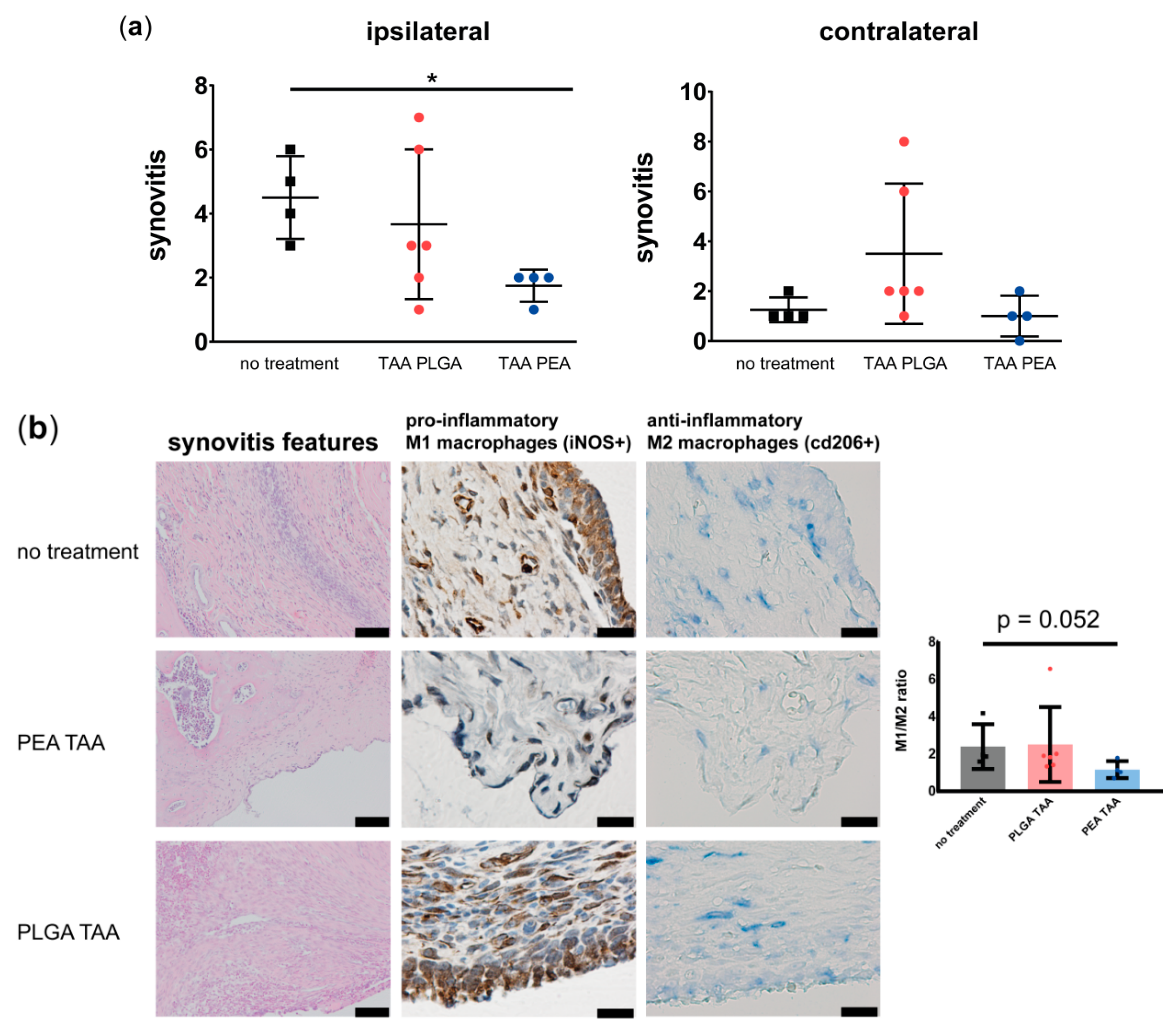 Pharmaceutics 11 00070 g007 550