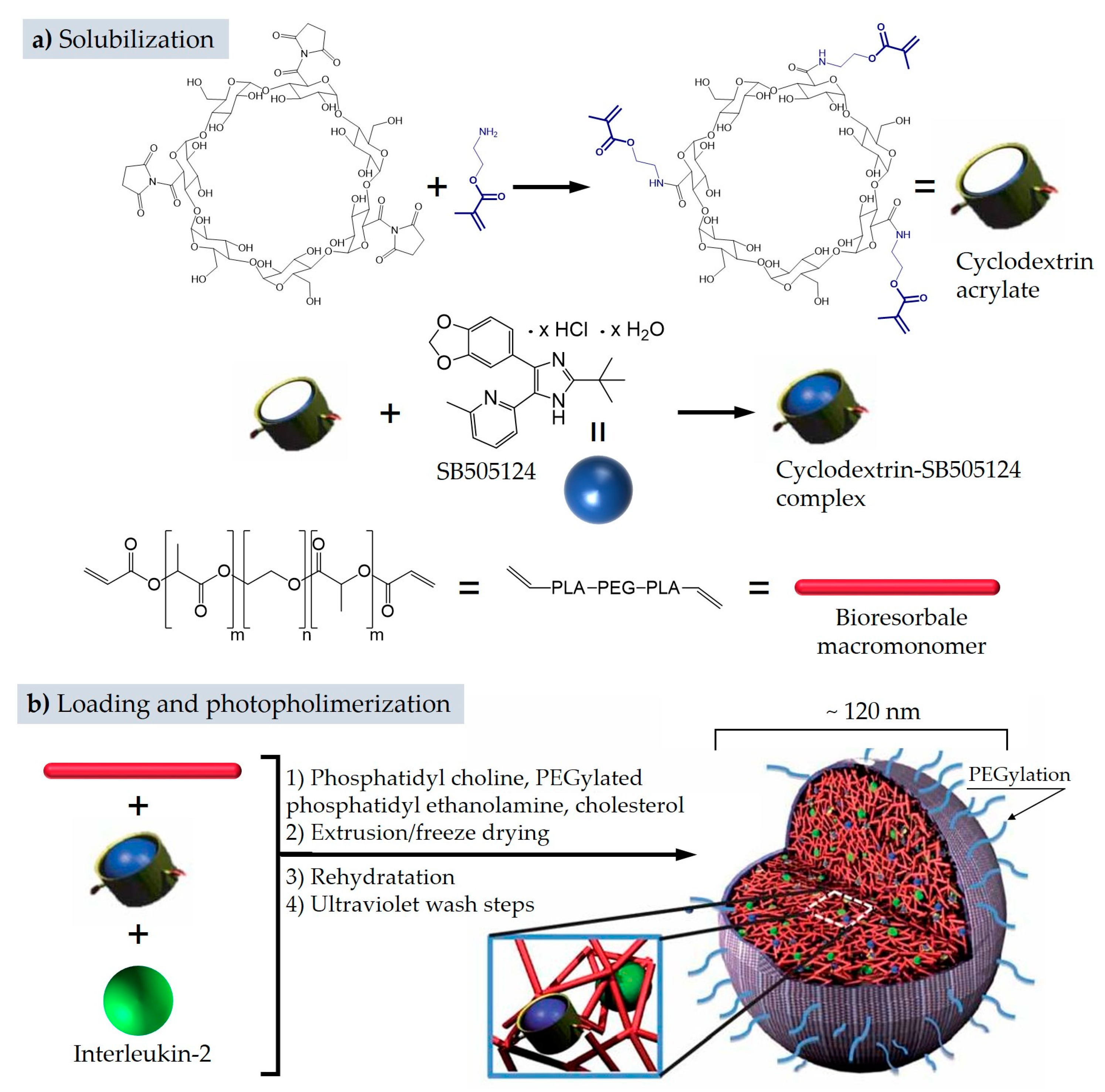 Pharmaceutics 11 00071 g008 550