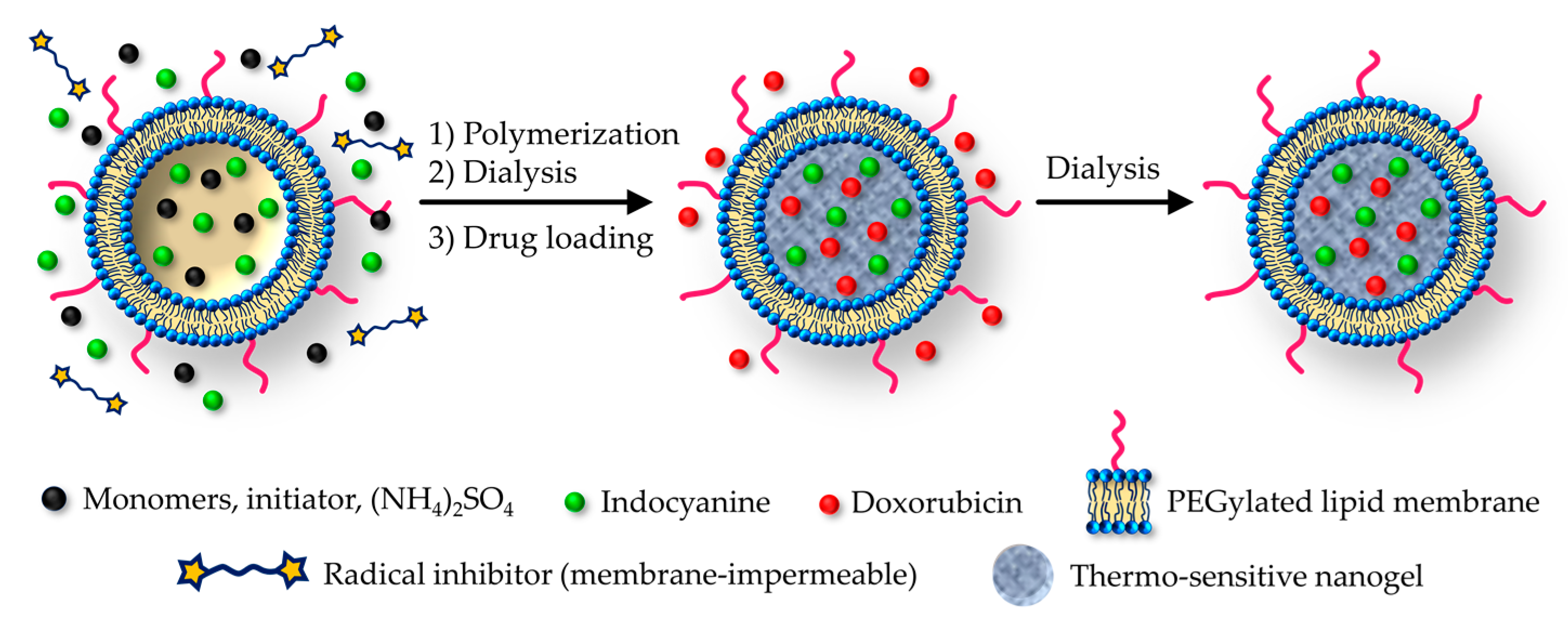 Pharmaceutics 11 00071 g011 550