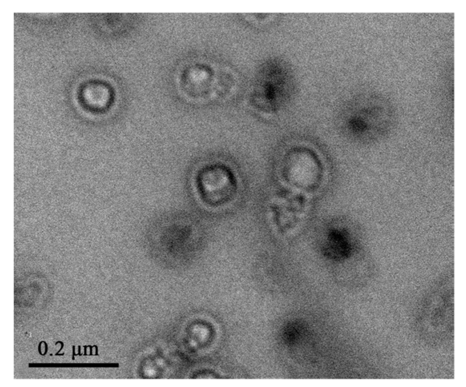 Pharmaceutics 11 00071 g012 550
