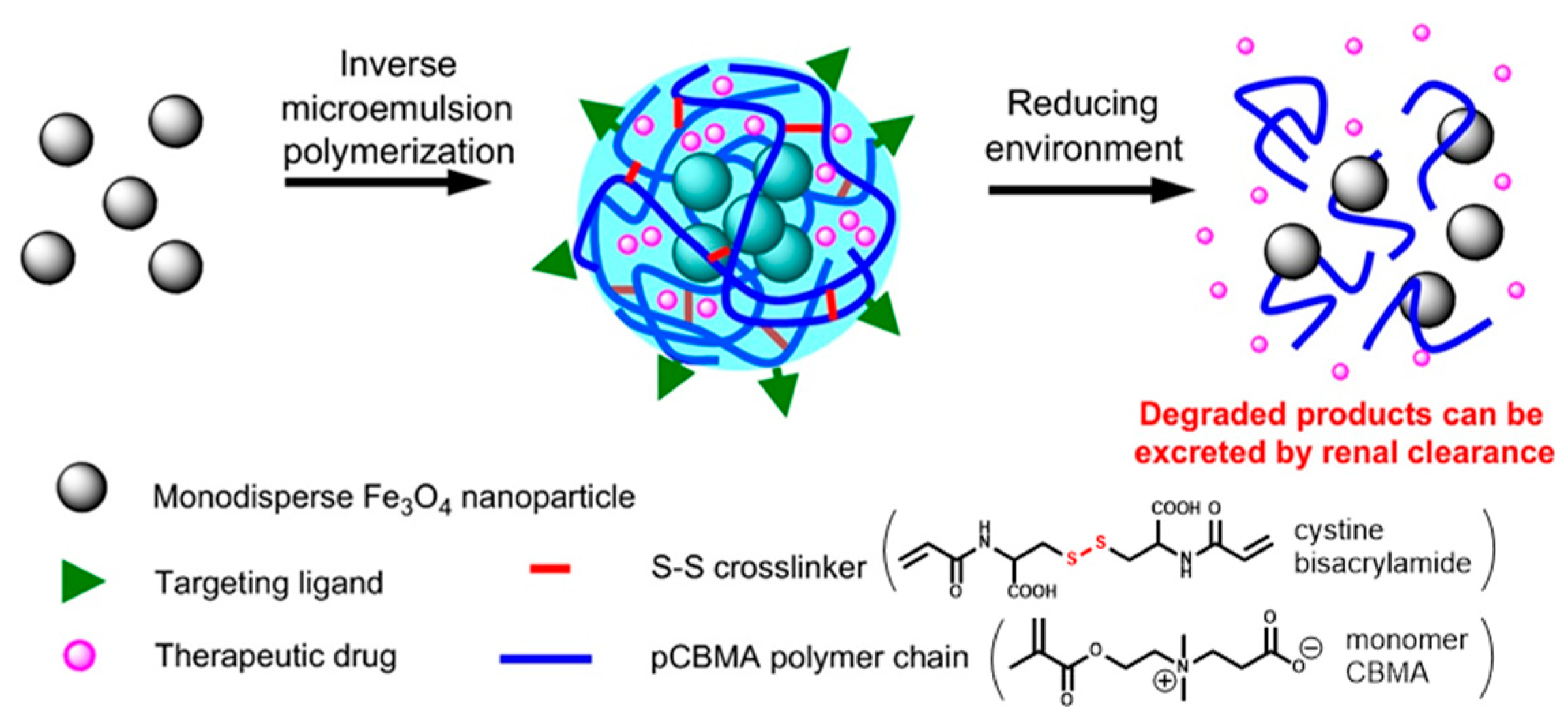 Pharmaceutics 11 00071 g013 550