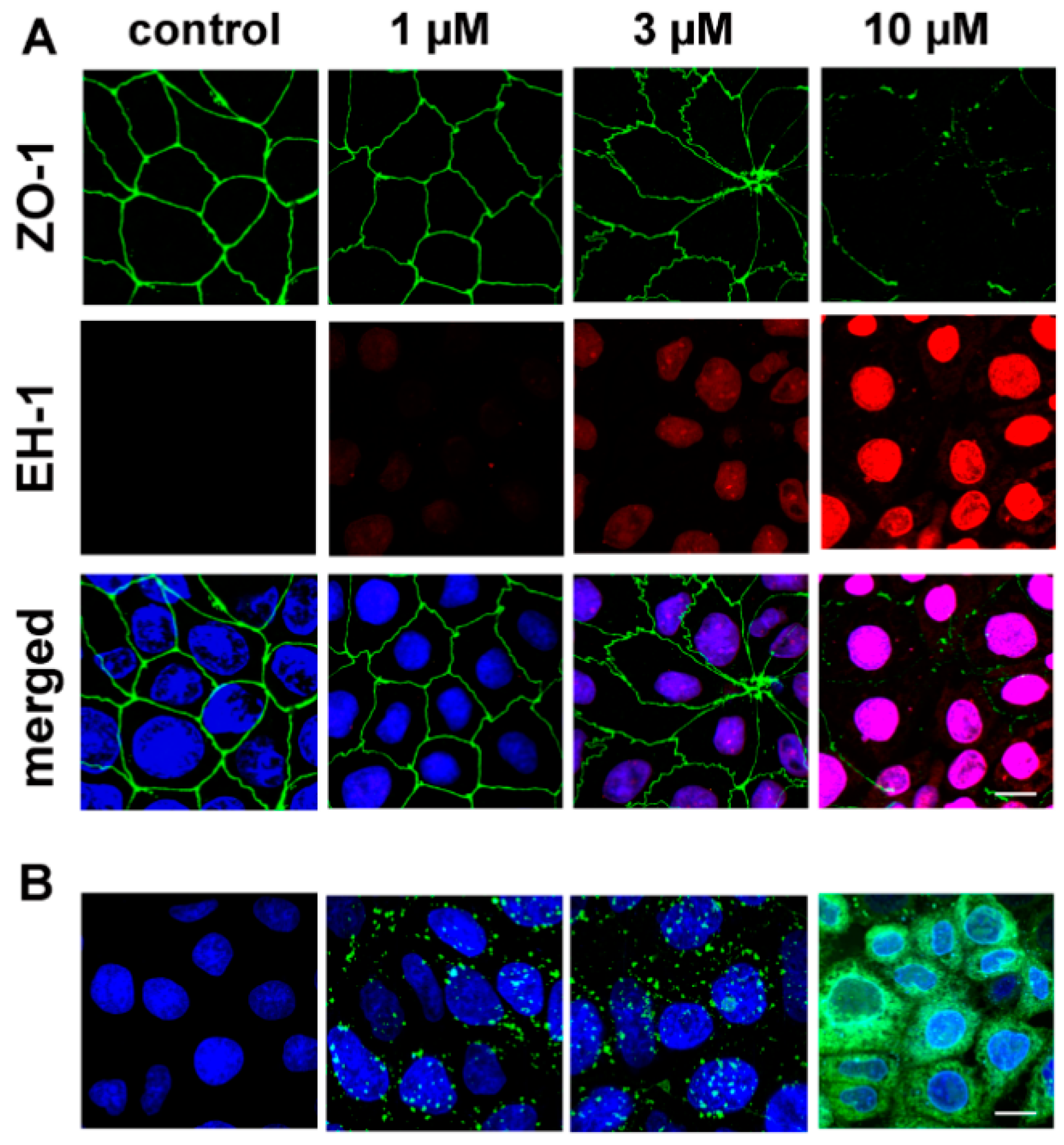 Pharmaceutics | Free Full-Text | Dual Action of the PN159/KLAL/MAP