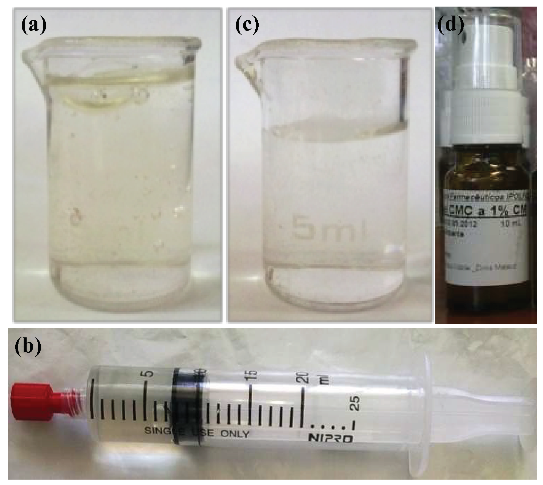 Pharmaceutics 11 00076 g001