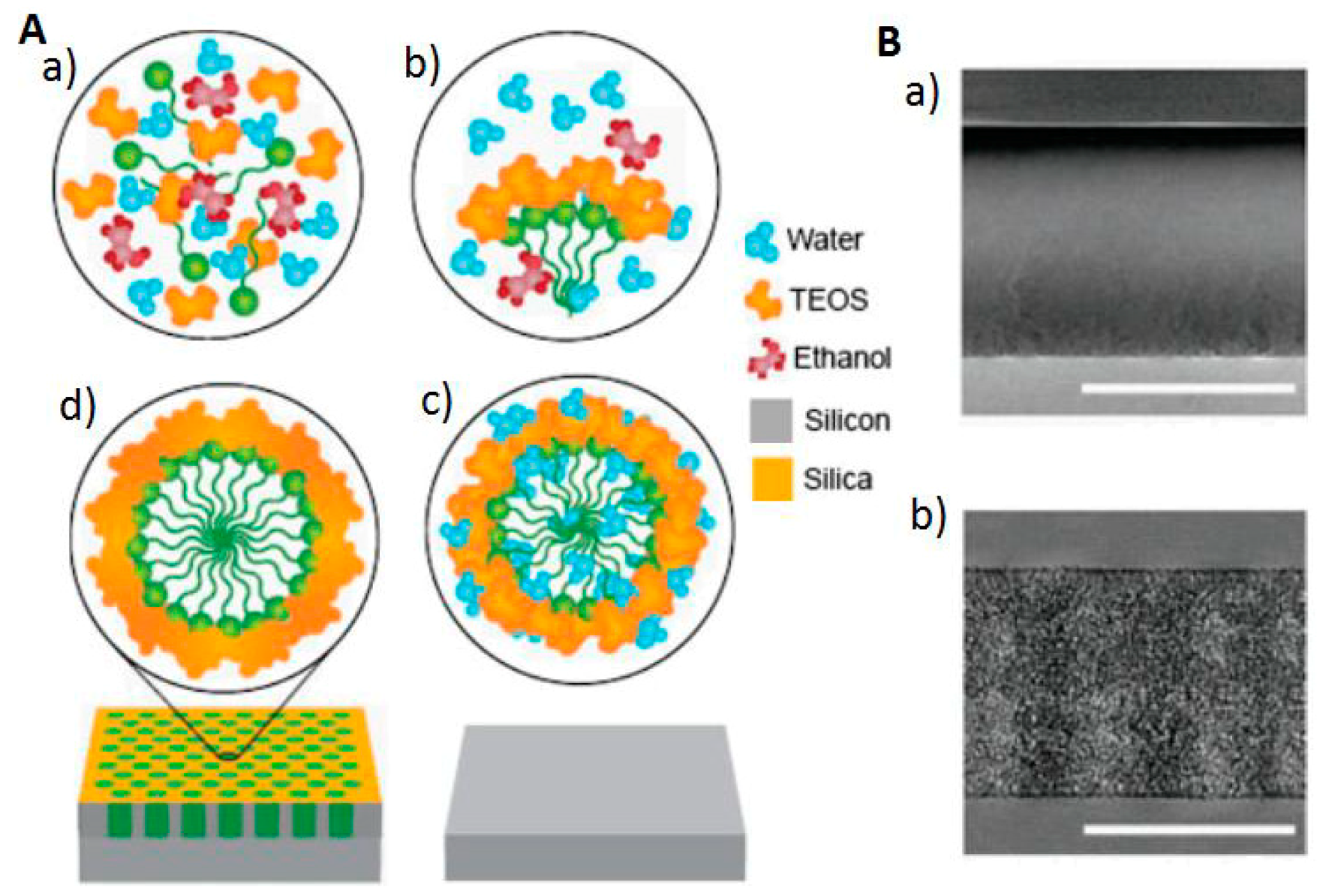 Pharmaceutics 11 00077 g002 Pharmaceutics 11 00077 g002