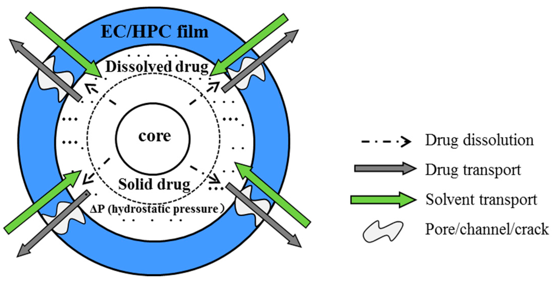 Pharmaceutics 11 00080 g001 Pharmaceutics 11 00080 g001