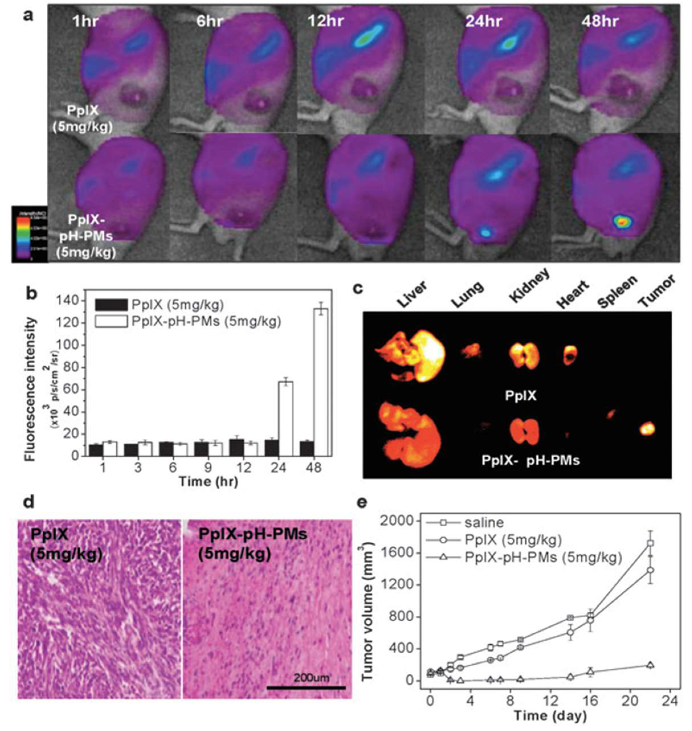 Pharmaceutics 11 00081 g003