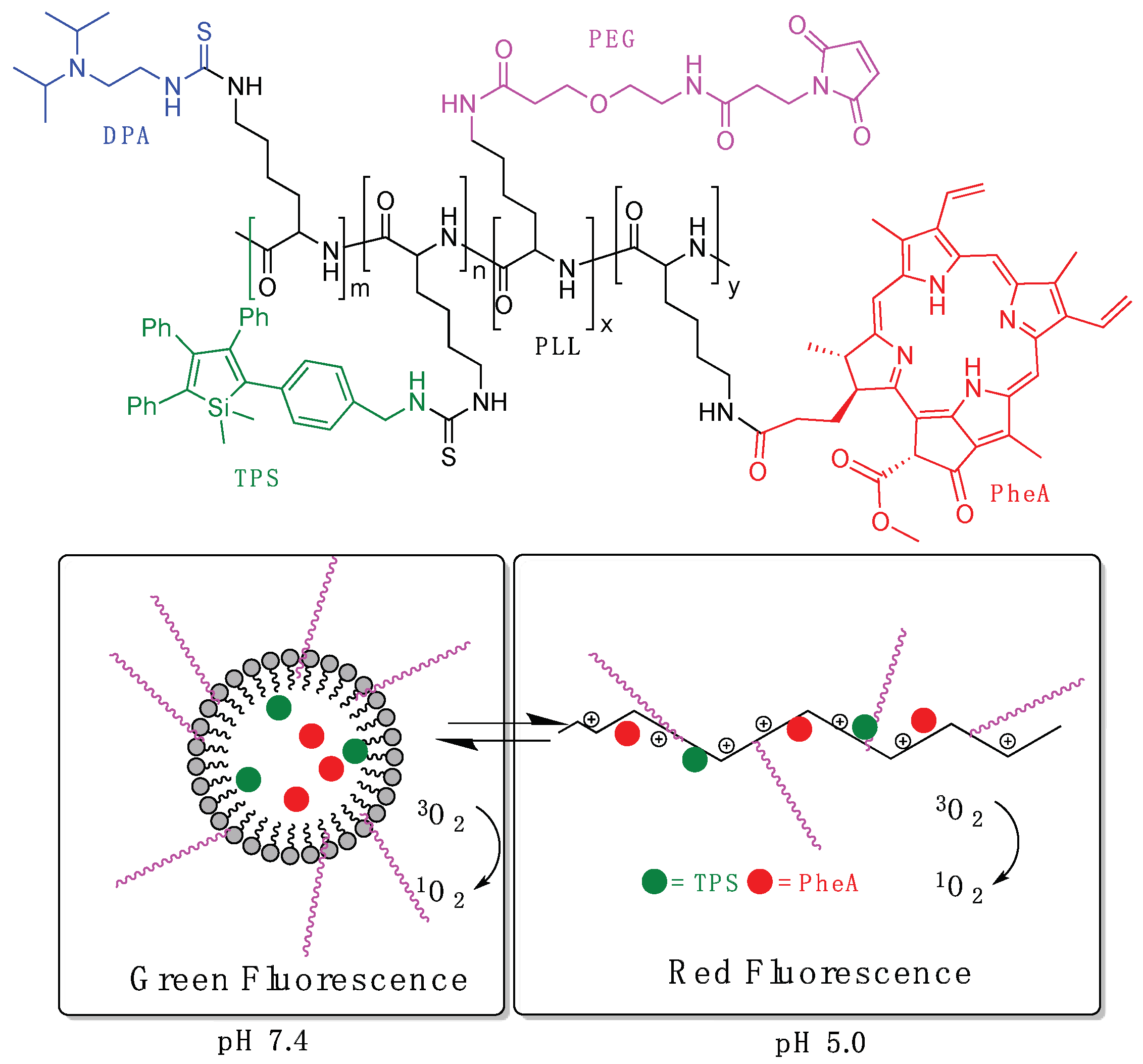 Pharmaceutics 11 00081 g006