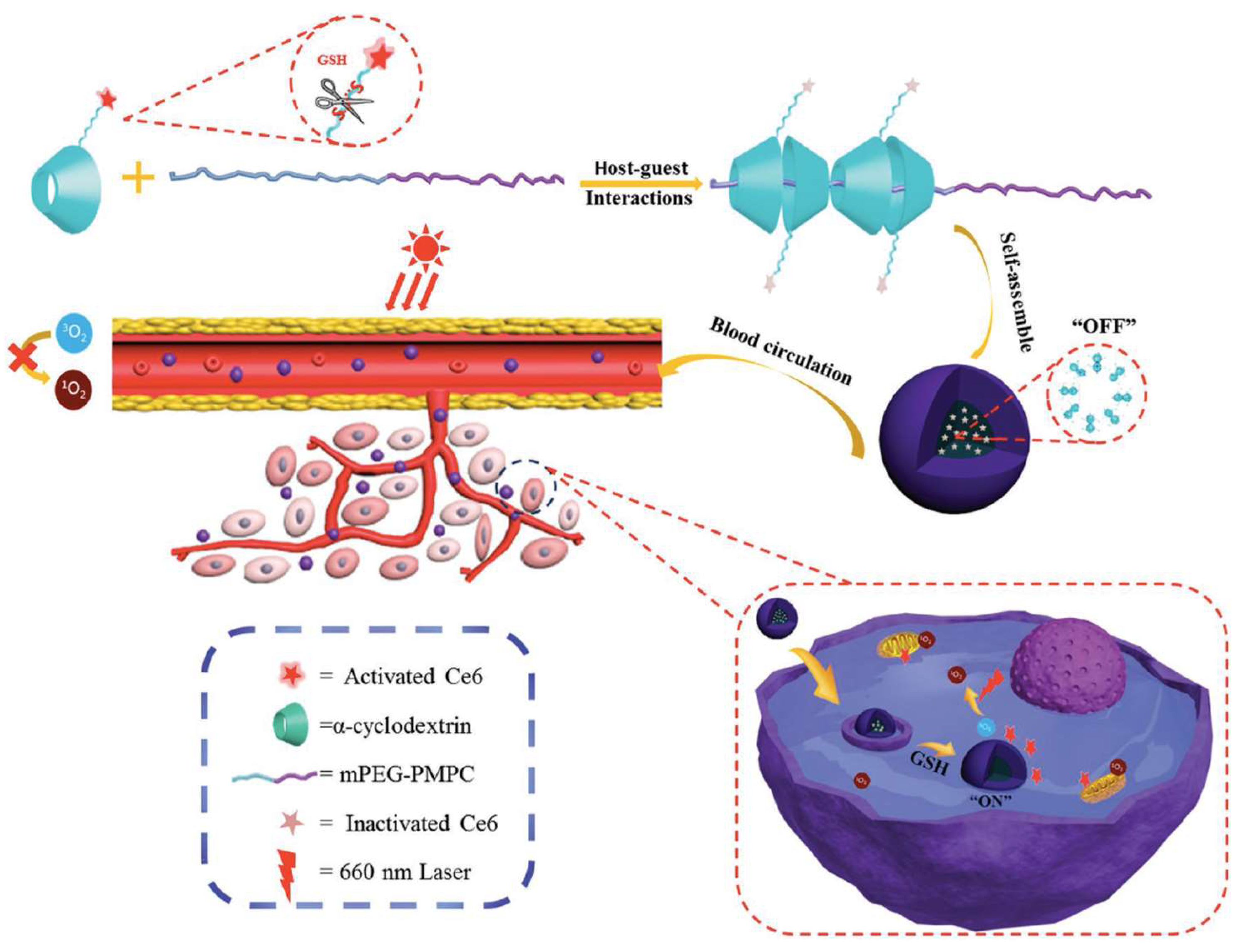 Pharmaceutics 11 00081 g007