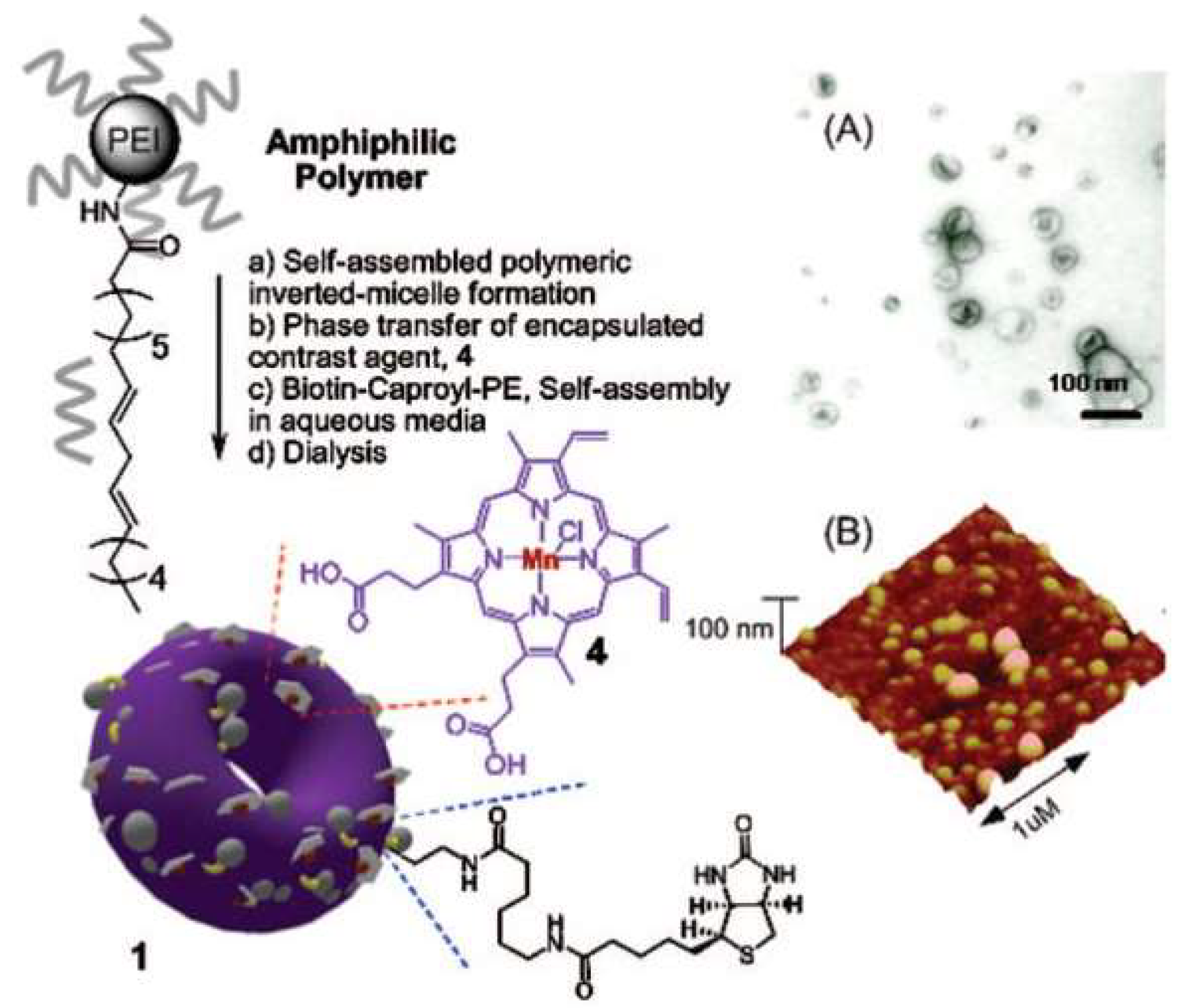 Pharmaceutics 11 00081 g009