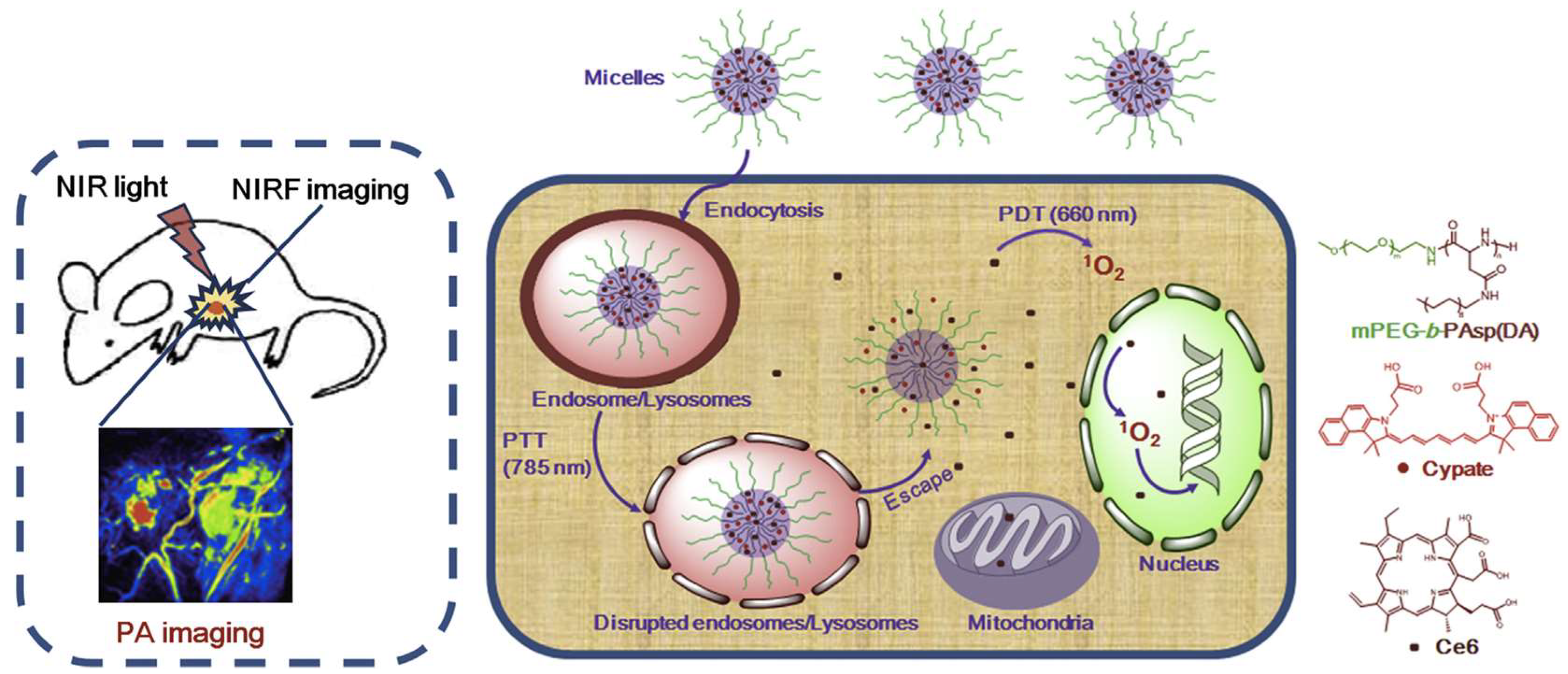 Pharmaceutics 11 00081 g010