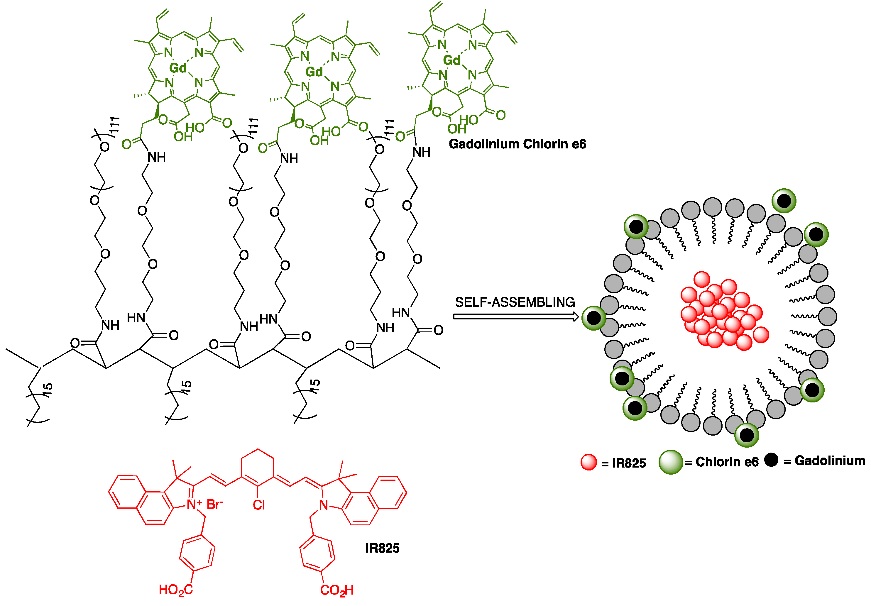 Pharmaceutics 11 00081 g011