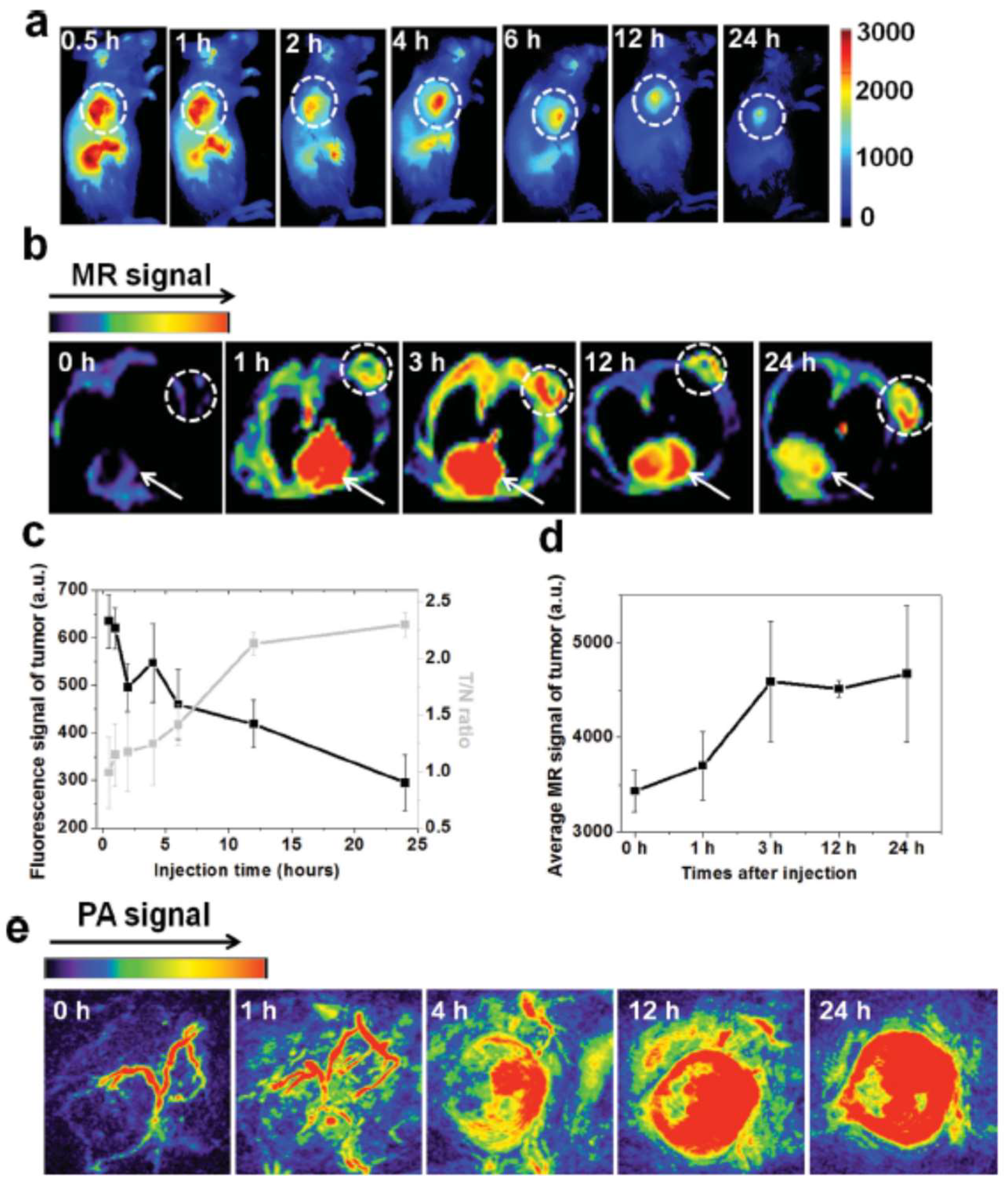 Pharmaceutics 11 00081 g012