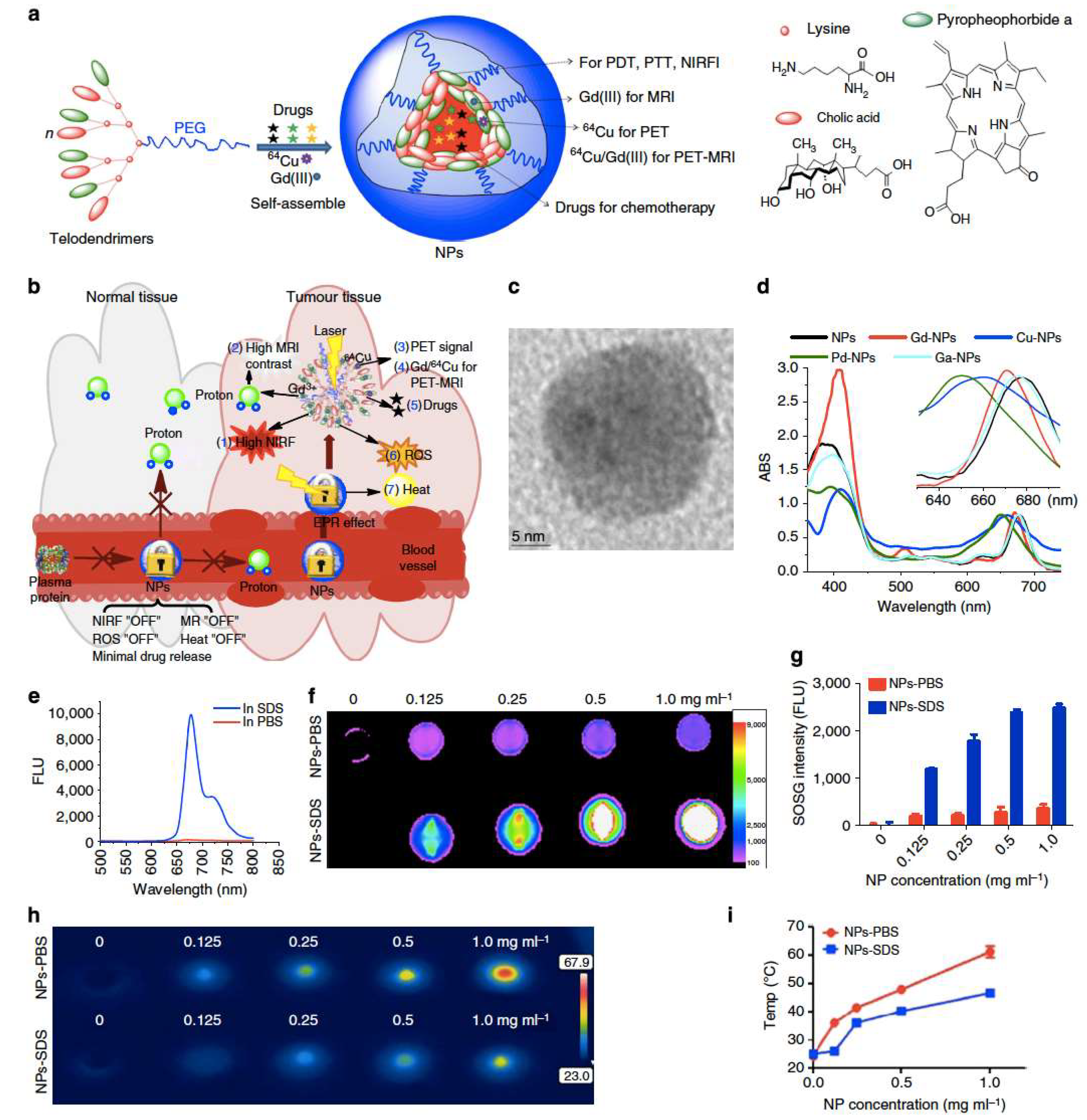 Pharmaceutics 11 00081 g013