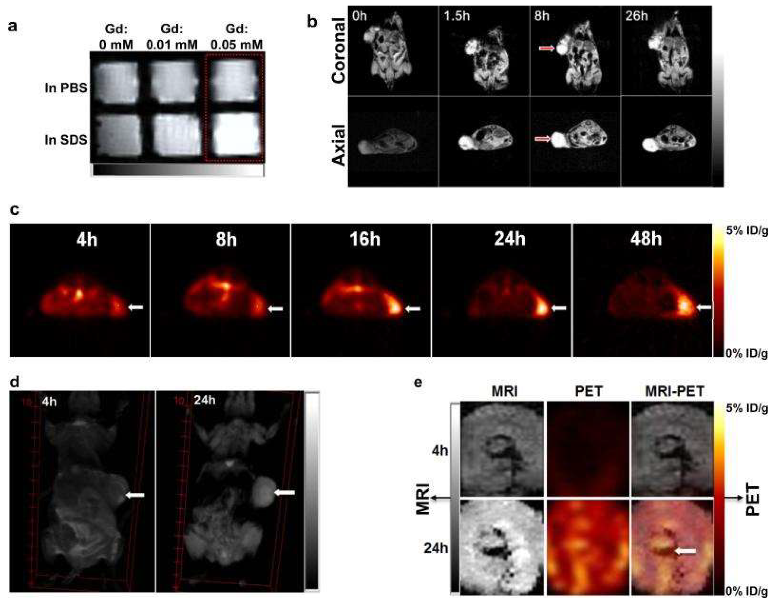 Pharmaceutics 11 00081 g014