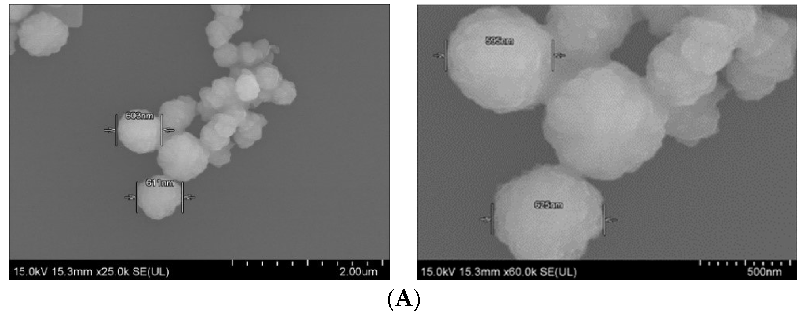 Pharmaceutics 11 00089 g005a Pharmaceutics 11 00089 g005a