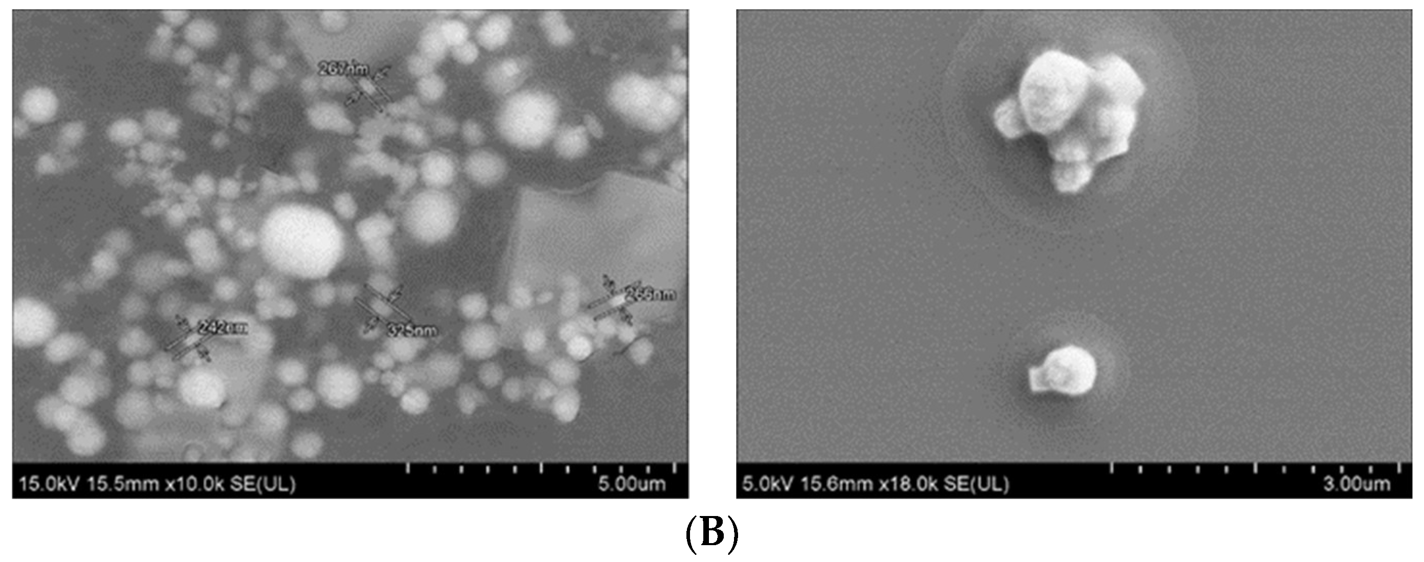 Pharmaceutics 11 00089 g005b Pharmaceutics 11 00089 g005b