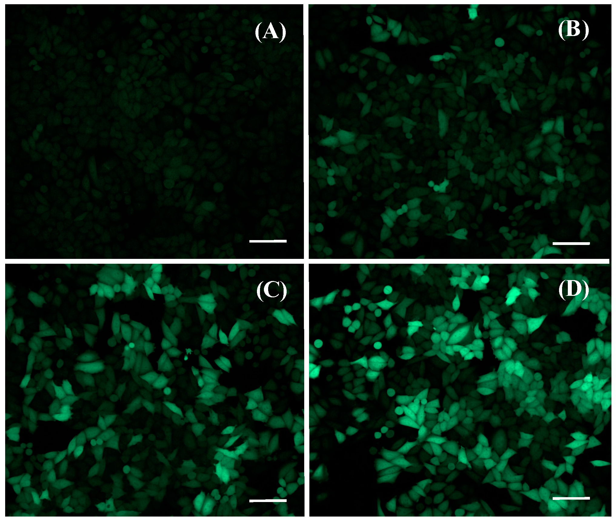 Pharmaceutics 11 00090 g002 Pharmaceutics 11 00090 g002