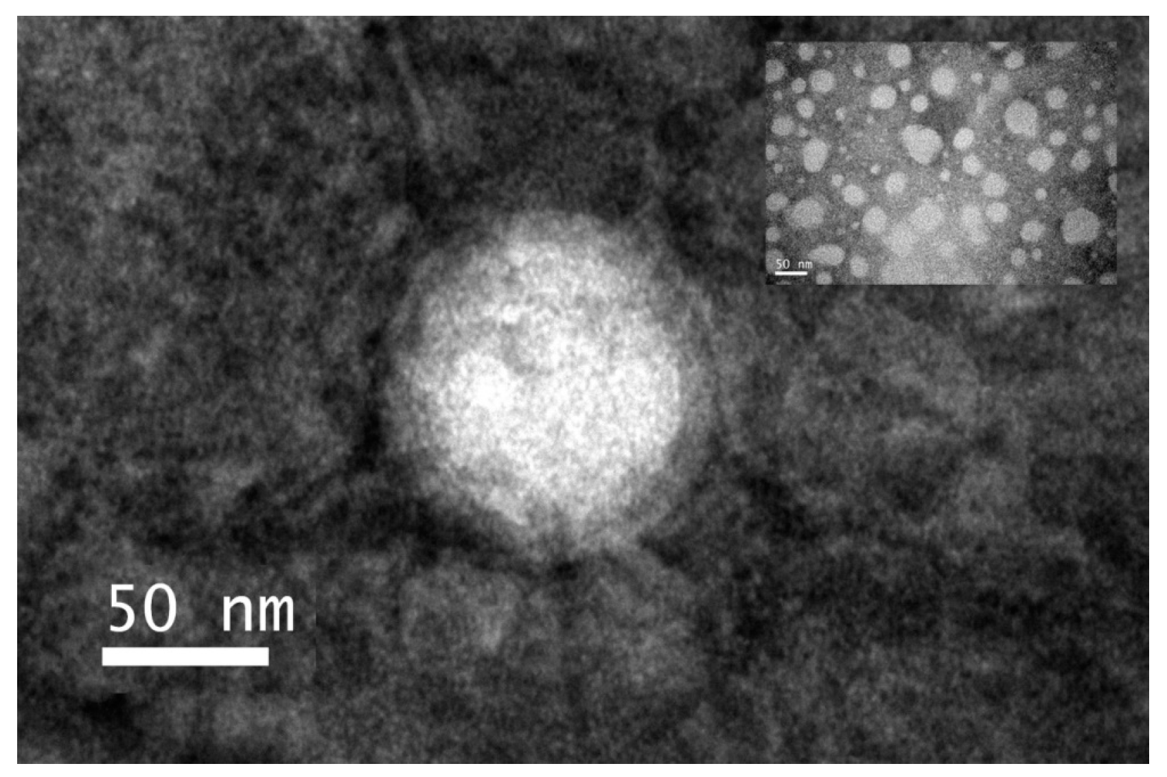 Pharmaceutics 11 00093 g004 550