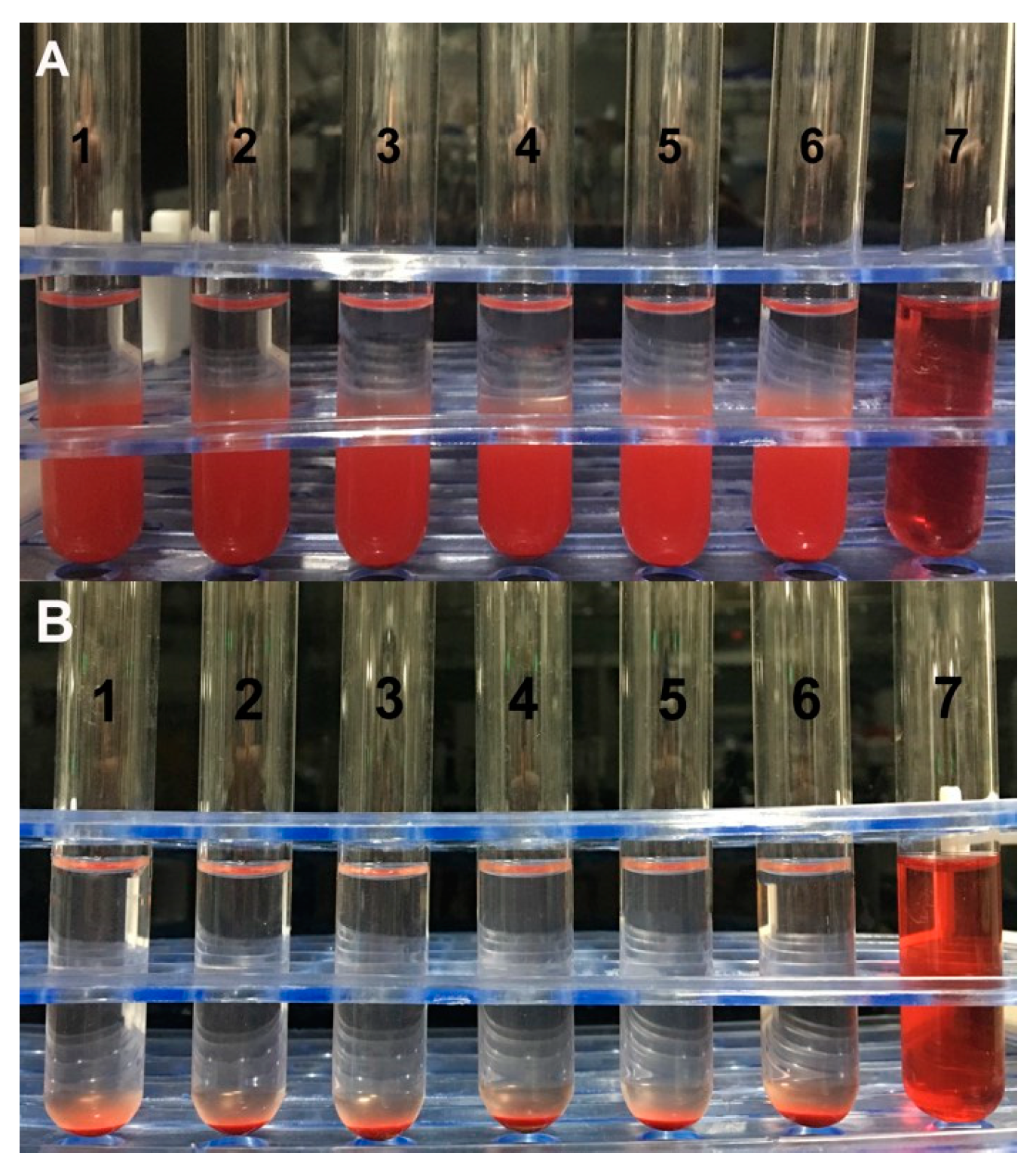 Pharmaceutics 11 00093 g008 550