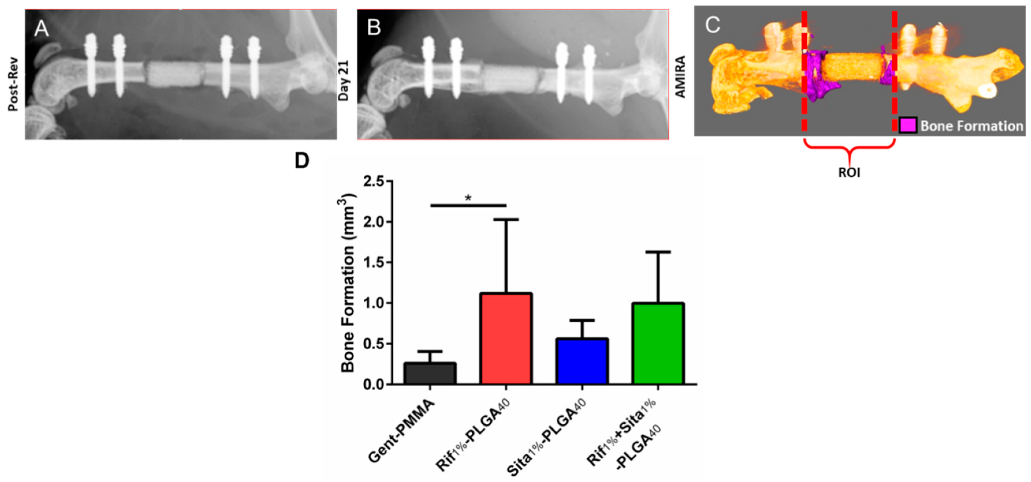 Pharmaceutics 11 00094 g005 Pharmaceutics 11 00094 g005