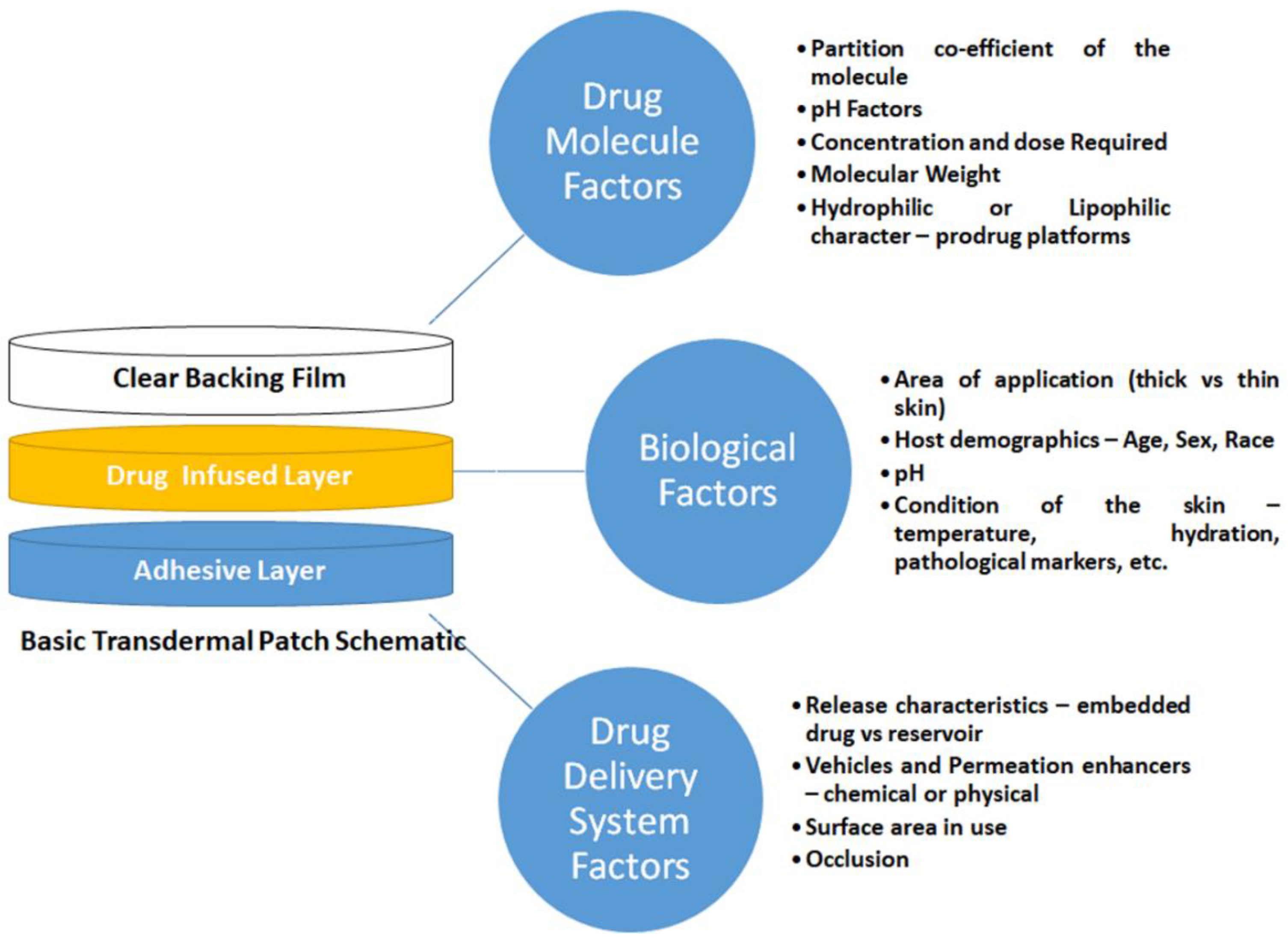 Pharmaceutics 11 00096 g004