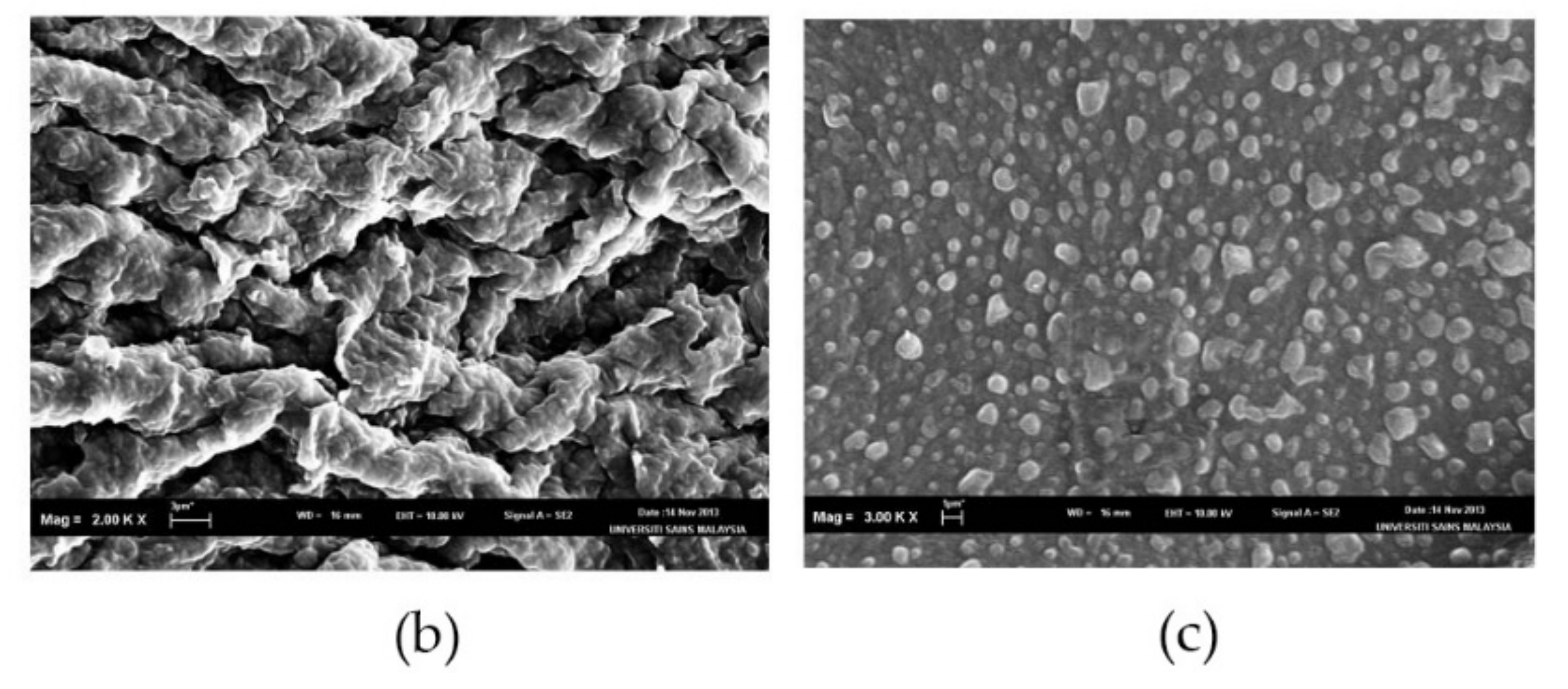 Pharmaceutics 11 00097 g007b