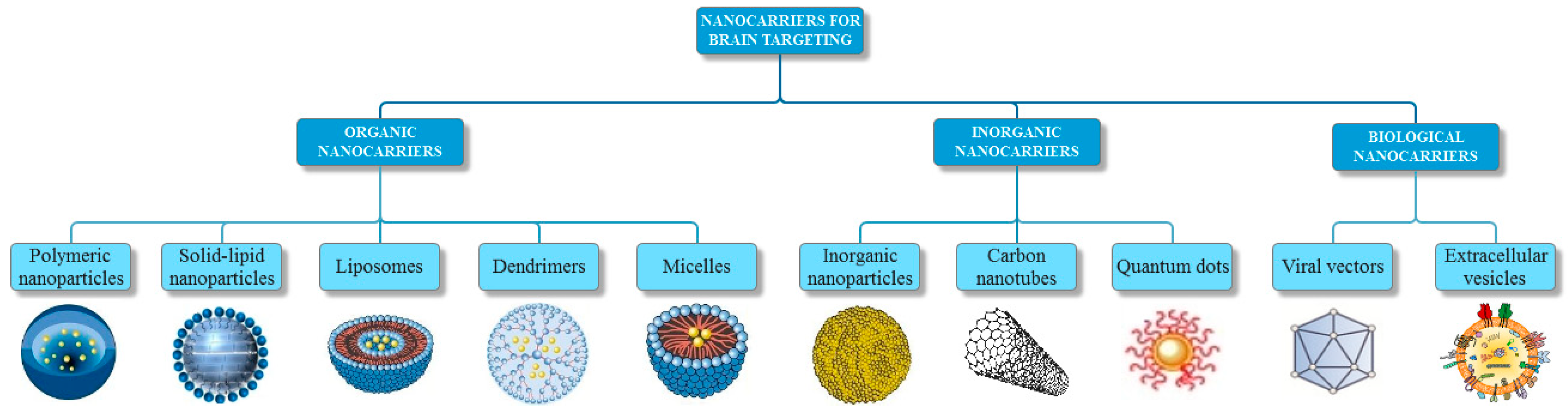 Pharmaceutics 11 00101 g001 550