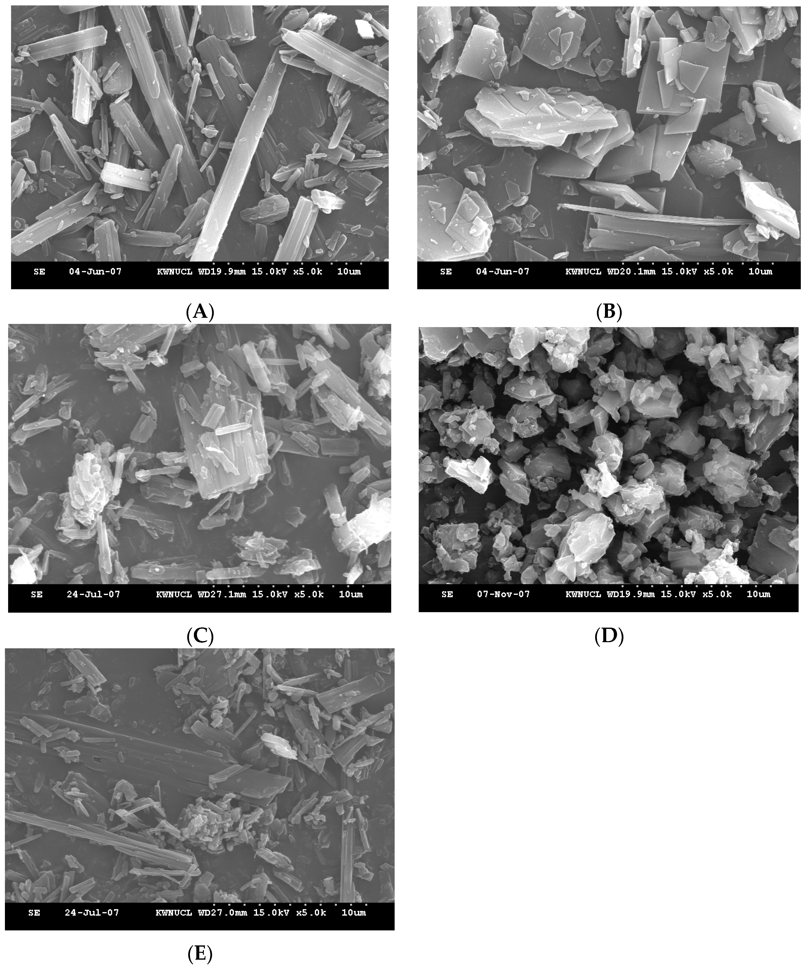 Pharmaceutics 11 00102 g007