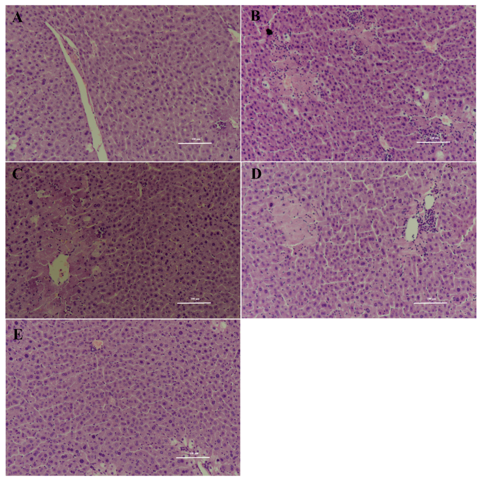 Pharmaceutics 11 00107 g007 550