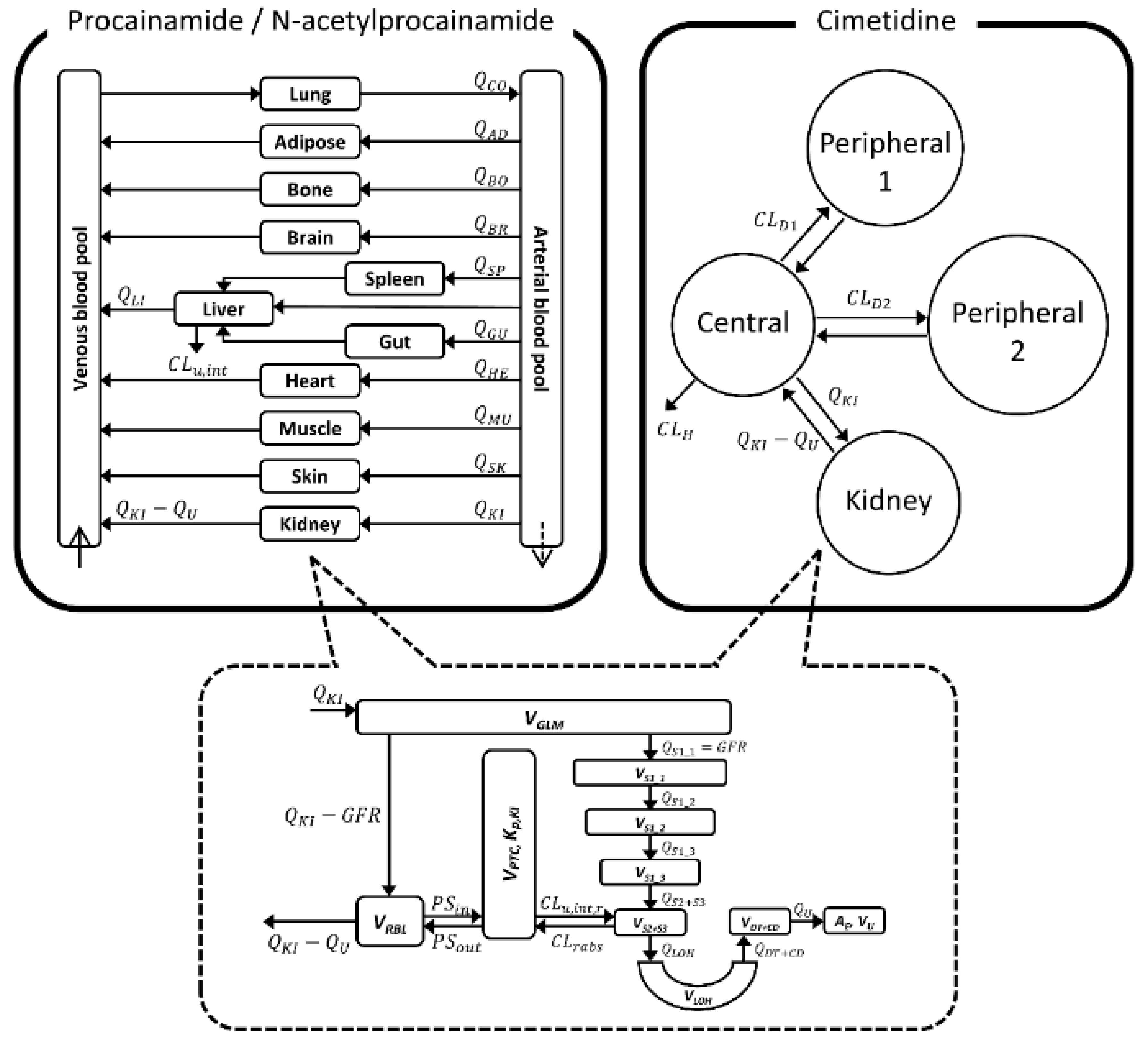 Pharmaceutics 11 00108 g001 550