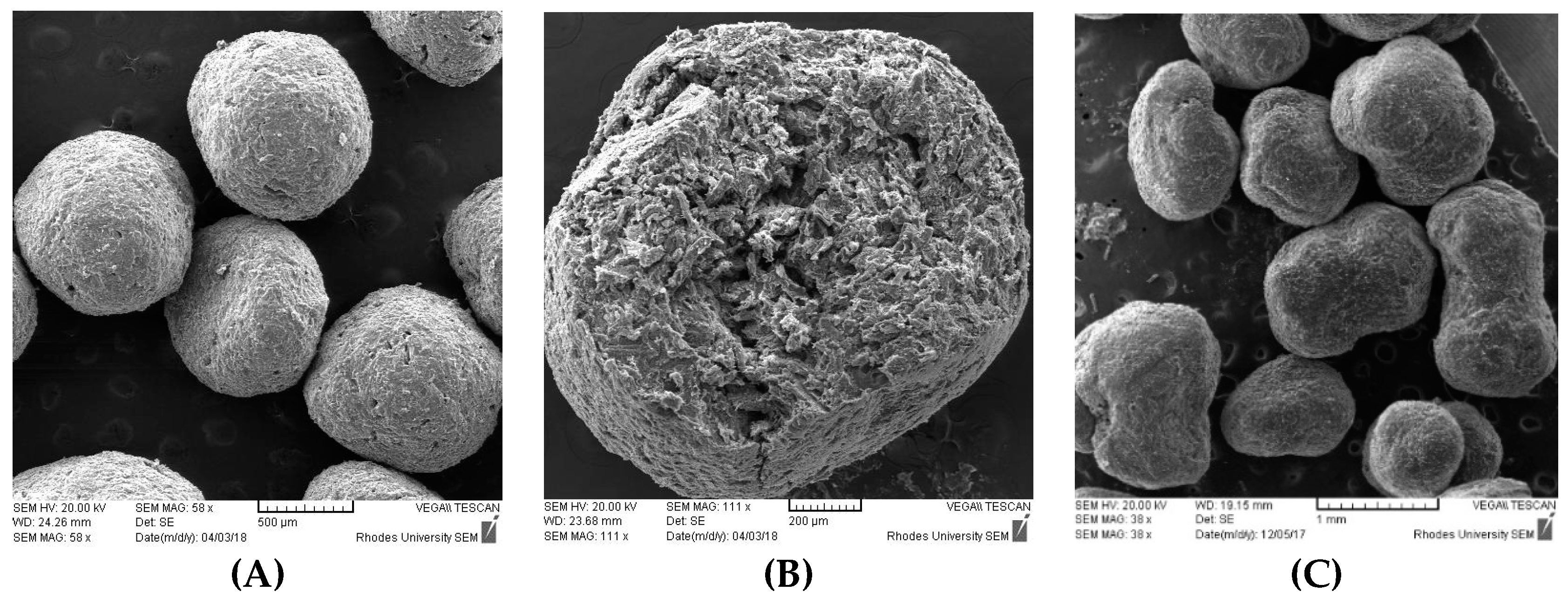 Pharmaceutics 11 00109 g006 Pharmaceutics 11 00109 g006