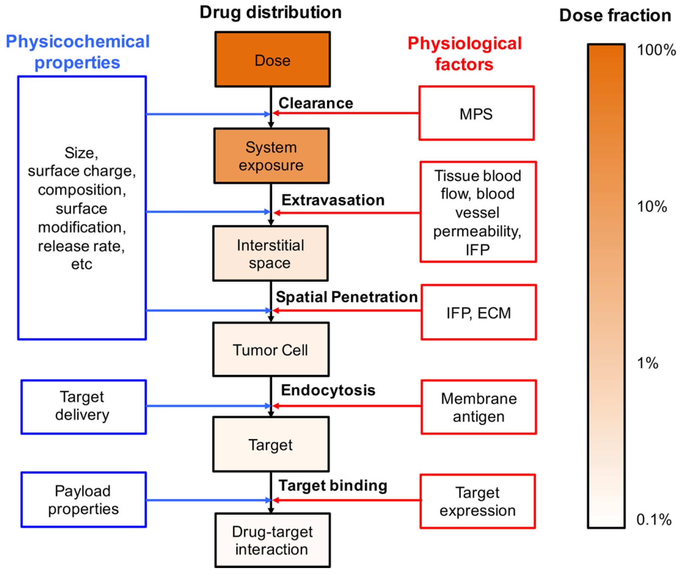 Pharmaceutics | Free Full-Text | Pharmacokinetics and Pharmacodynamics  Modeling and Simulation Systems to Support the Development and Regulation  of Liposomal Drugs