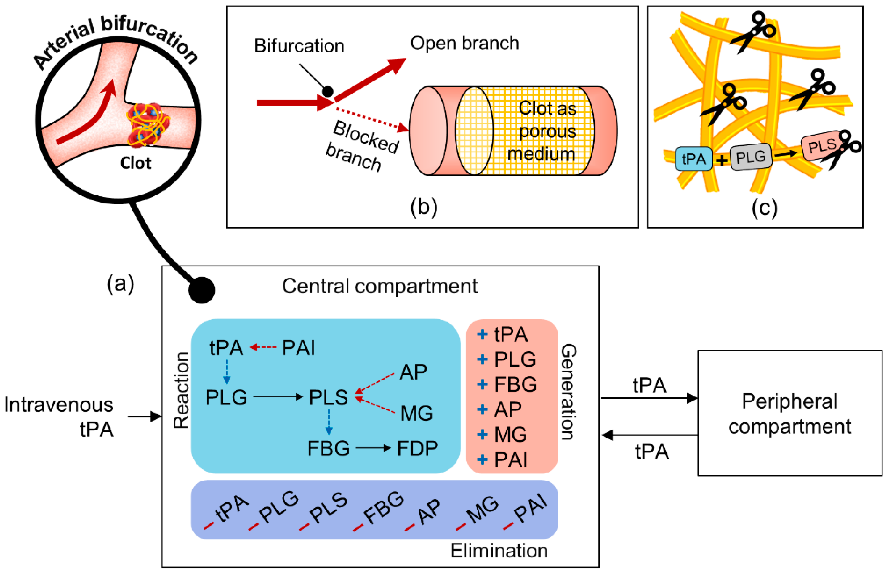 Pharmaceutics 11 00111 g001