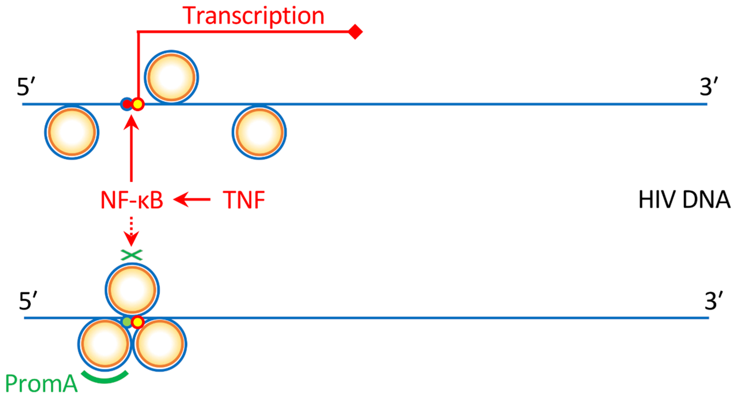 Pharmaceutics 11 00114 g002