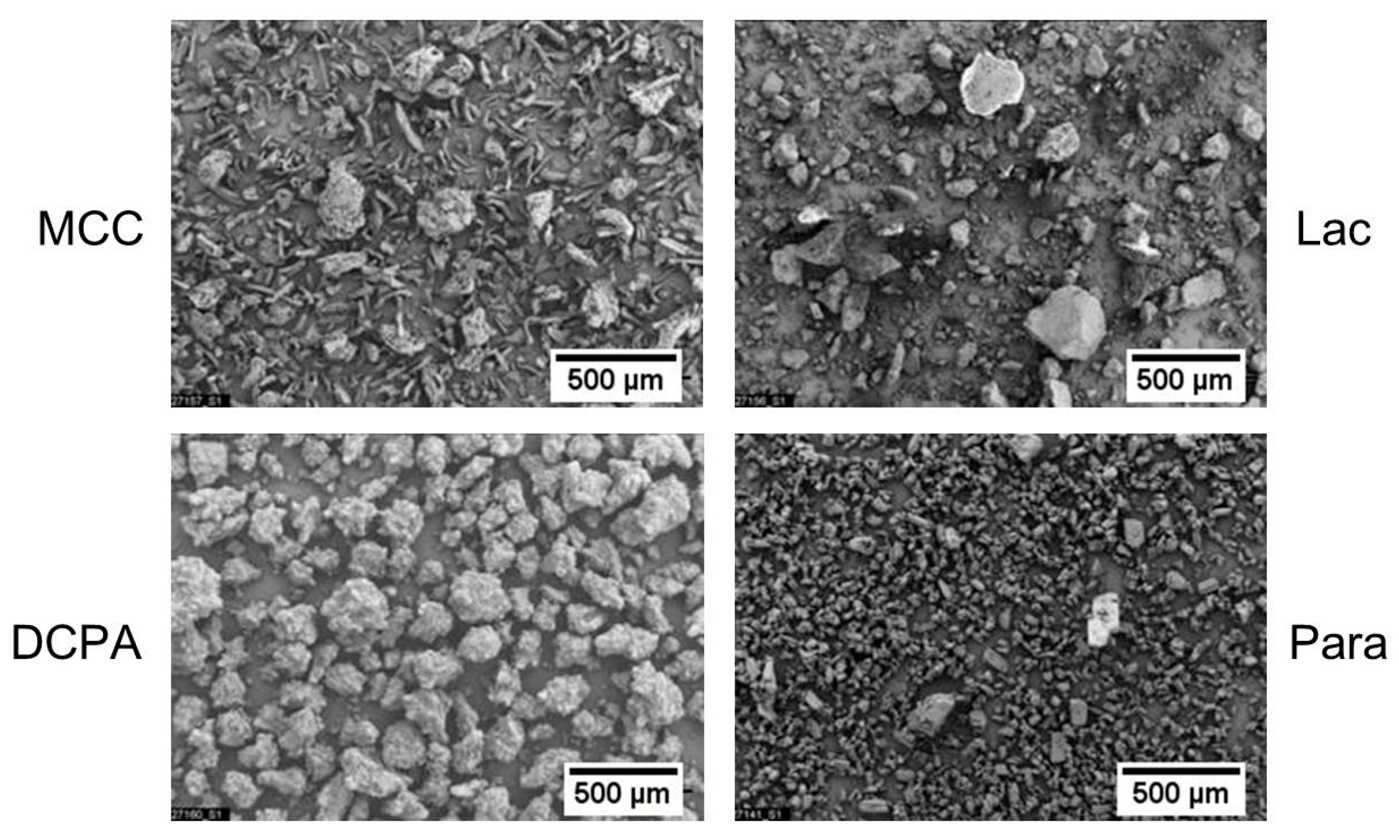 Pharmaceutics 11 00121 g001
