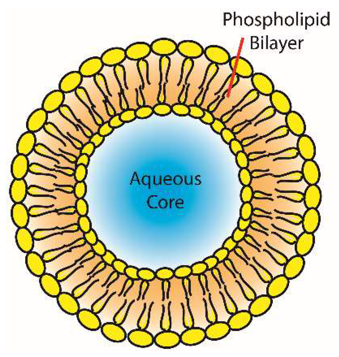 Pharmaceutics 11 00124 g002