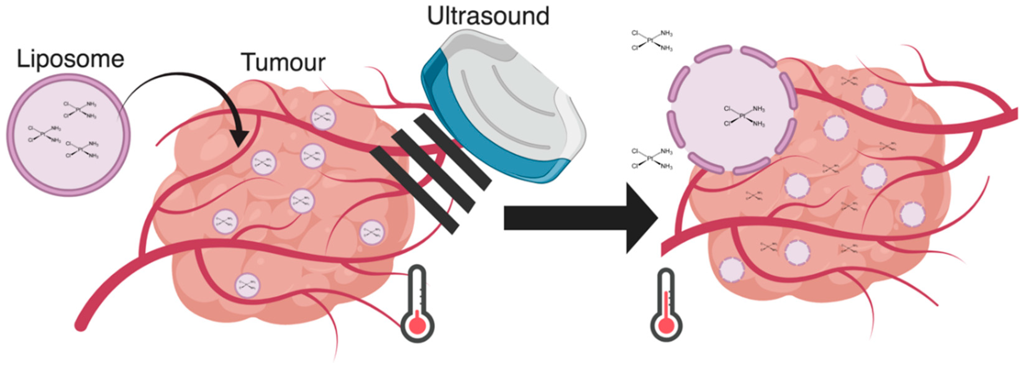 Pharmaceutics 11 00125 g001 Pharmaceutics 11 00125 g001