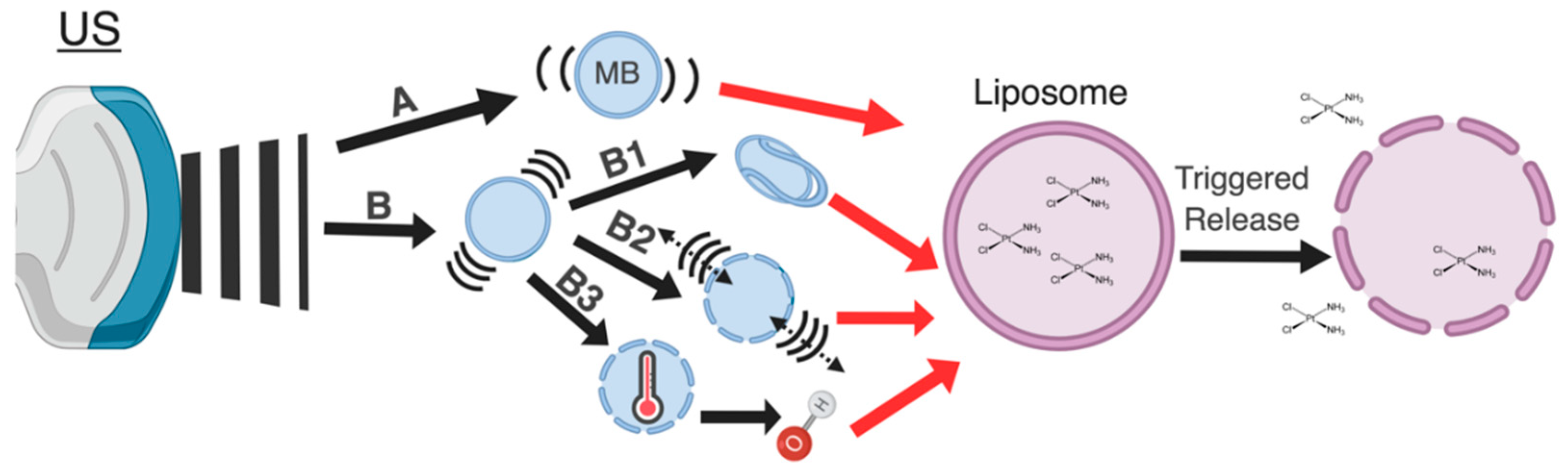 Pharmaceutics 11 00125 g002 Pharmaceutics 11 00125 g002