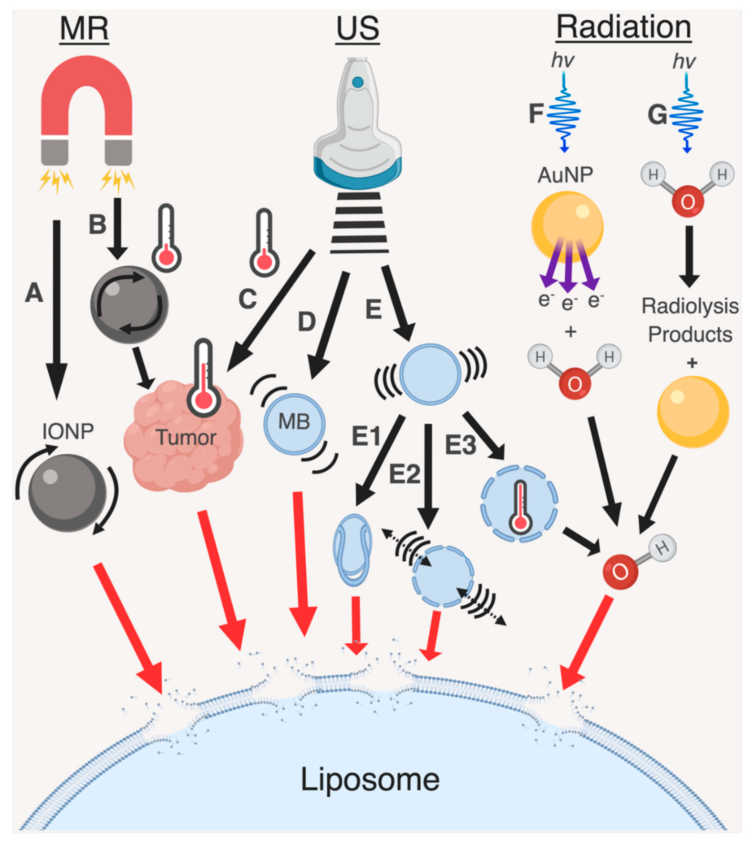 Pharmaceutics 11 00125 g005 Pharmaceutics 11 00125 g005
