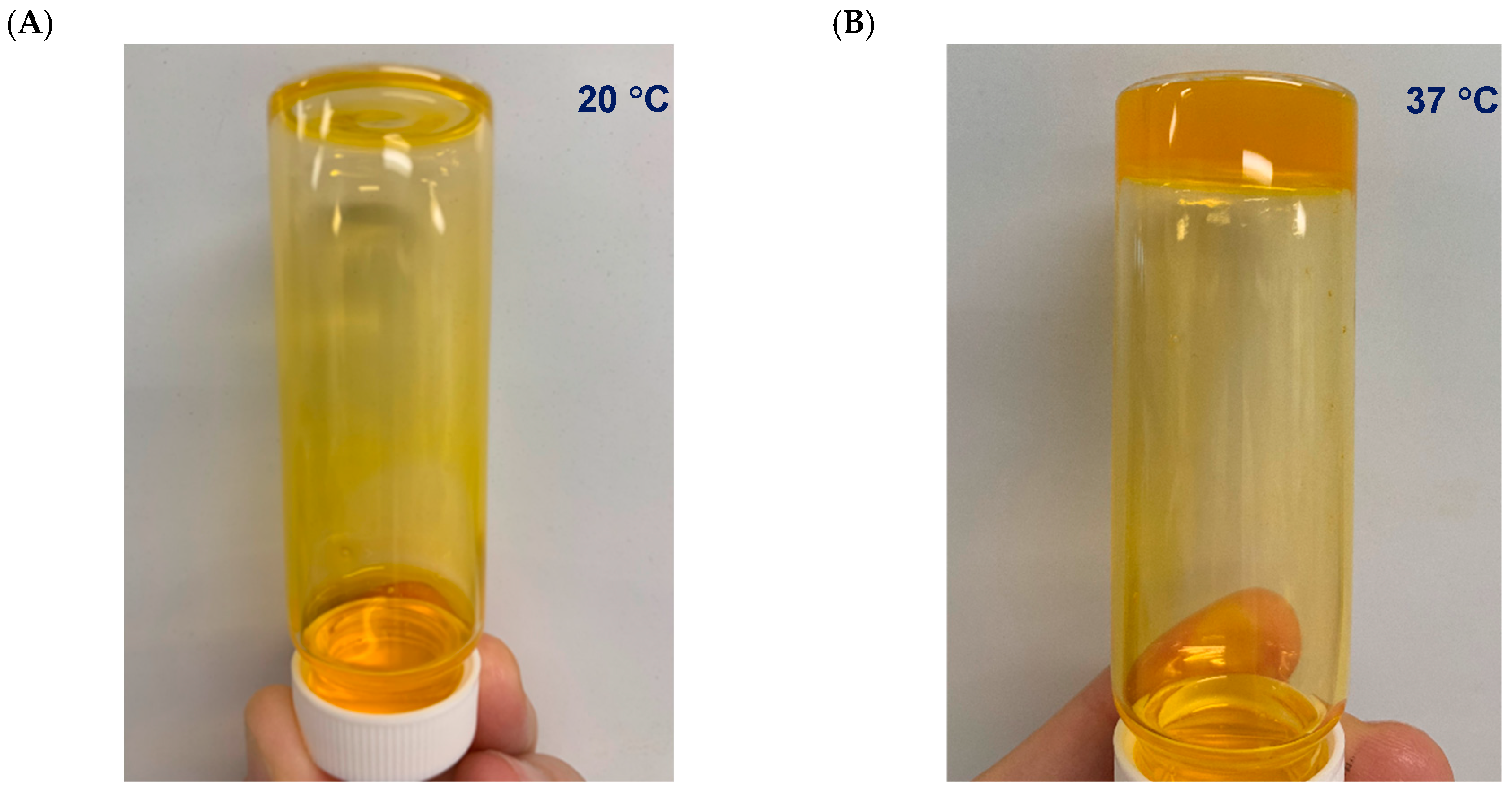Pharmaceutics 11 00127 g001